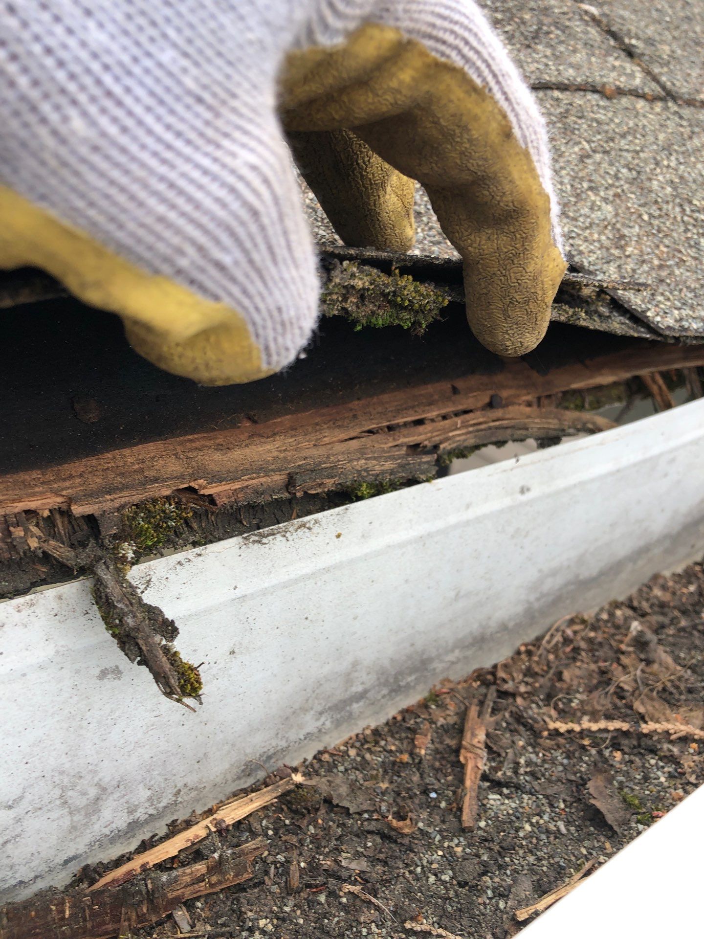 Project in Seattle by Connolly Construction Company