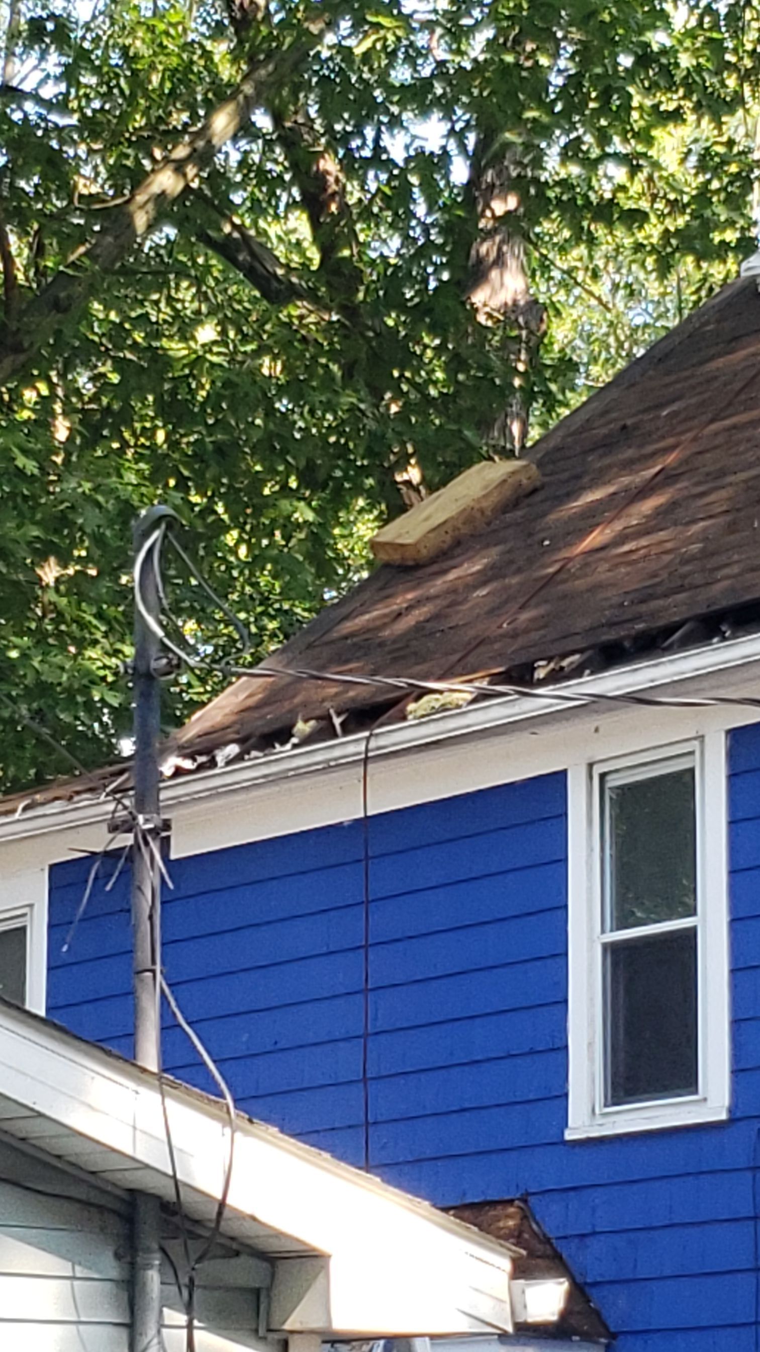 ATLAS PINNACLE COLOR: SCOTCHGARD BLACK DRIP EDGE: WHITE by Eagle Eye Roofing