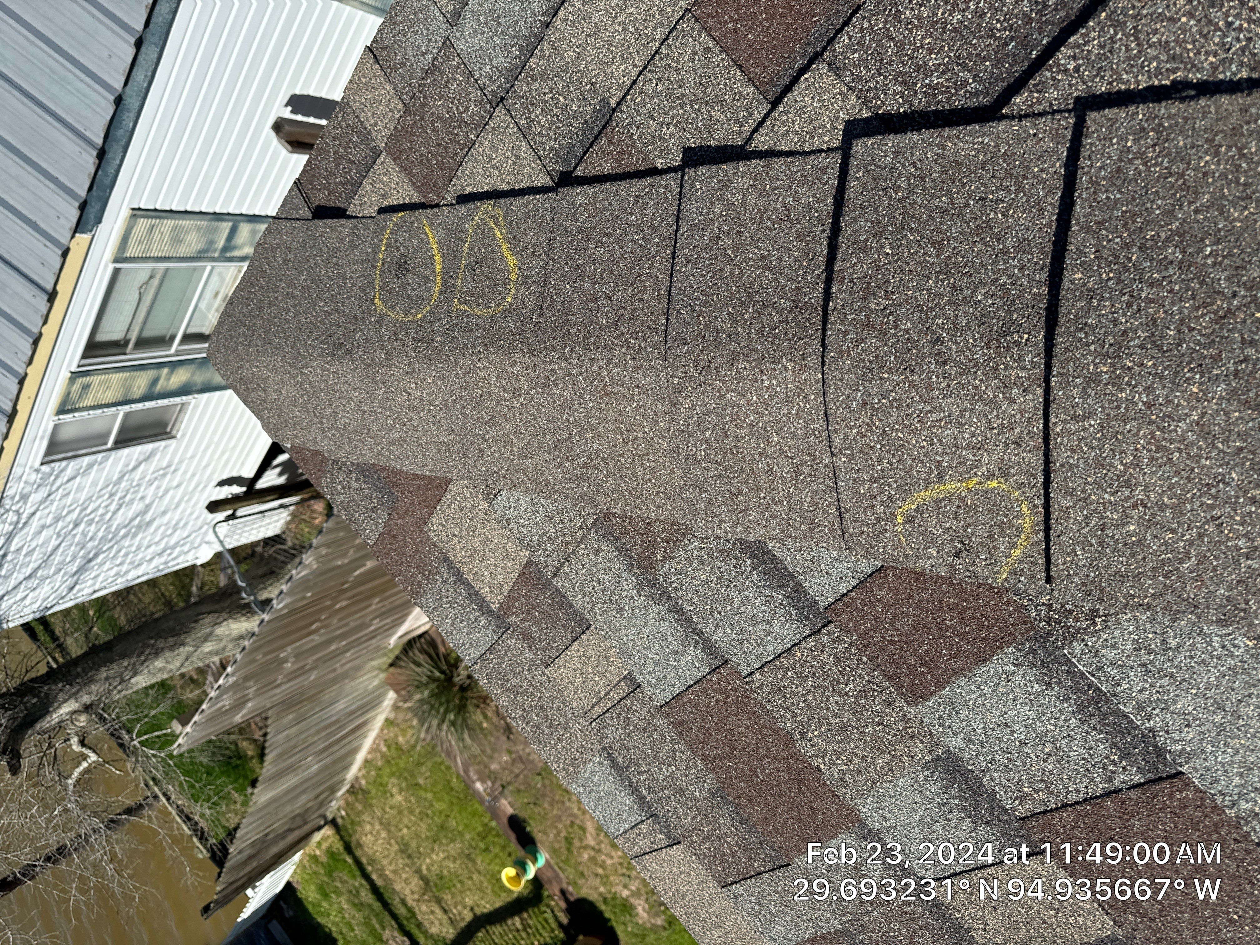 Hail Damage by Southern Belle