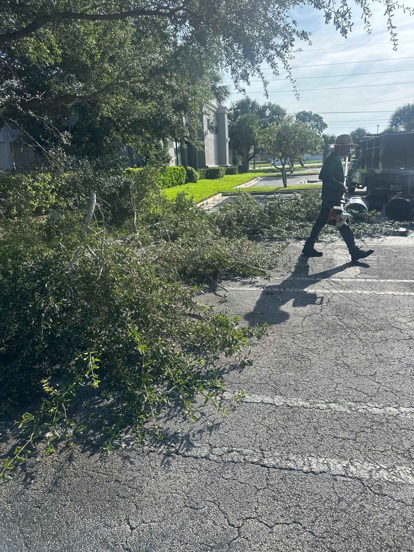 🛏️ City Mattress Refresh — Jensen Beach by Alpha Zeta Enterprises Inc