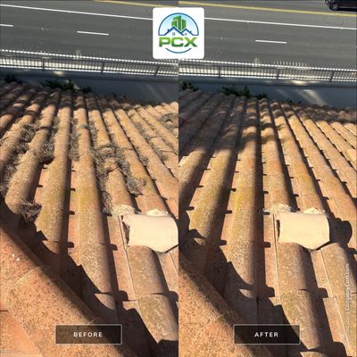 Mission Viejo Roof Cleaning