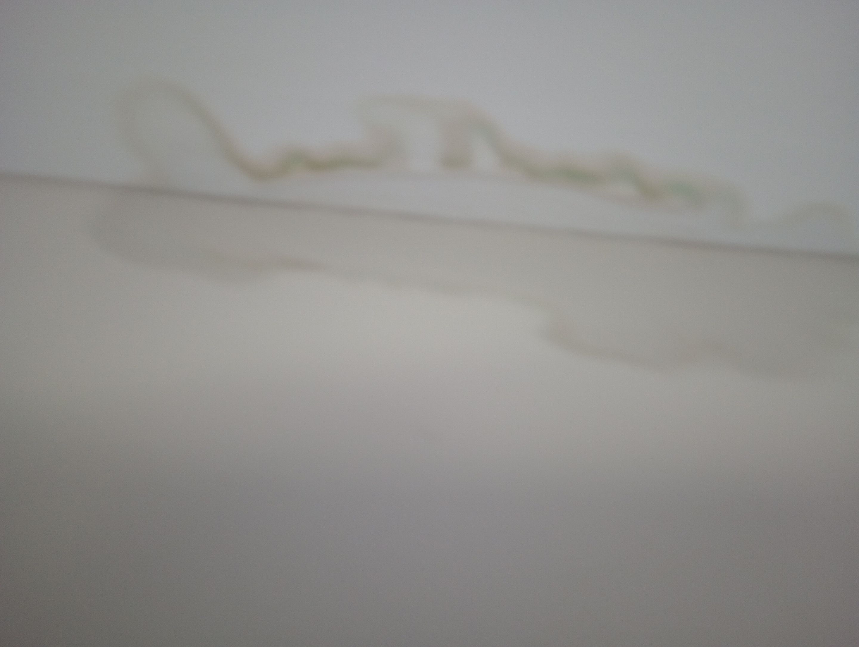 Finished Mold Remediation in Louisville, KY by ANR Restoration