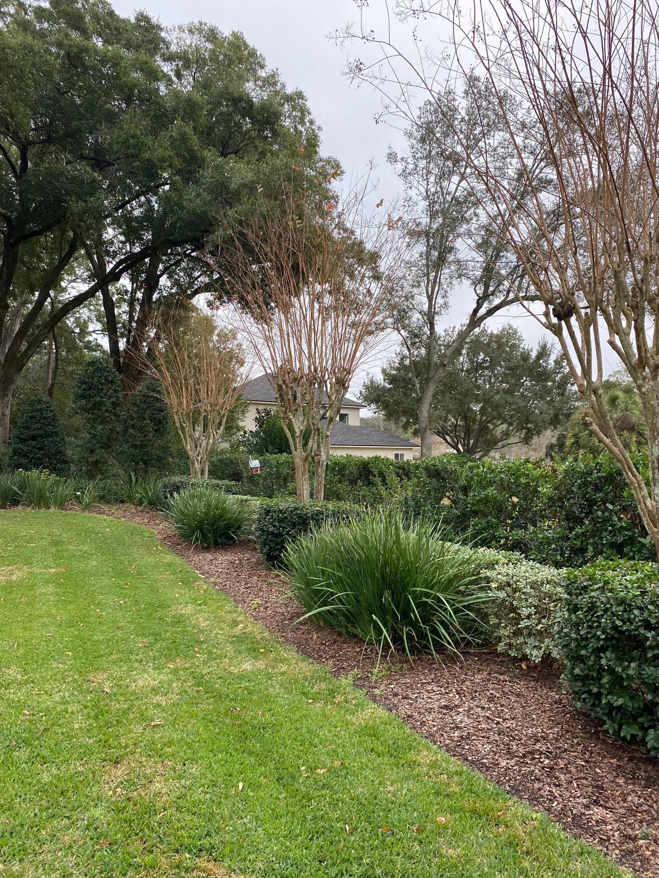 Deerwood Residence | Tree Trimming by ProGreen Services