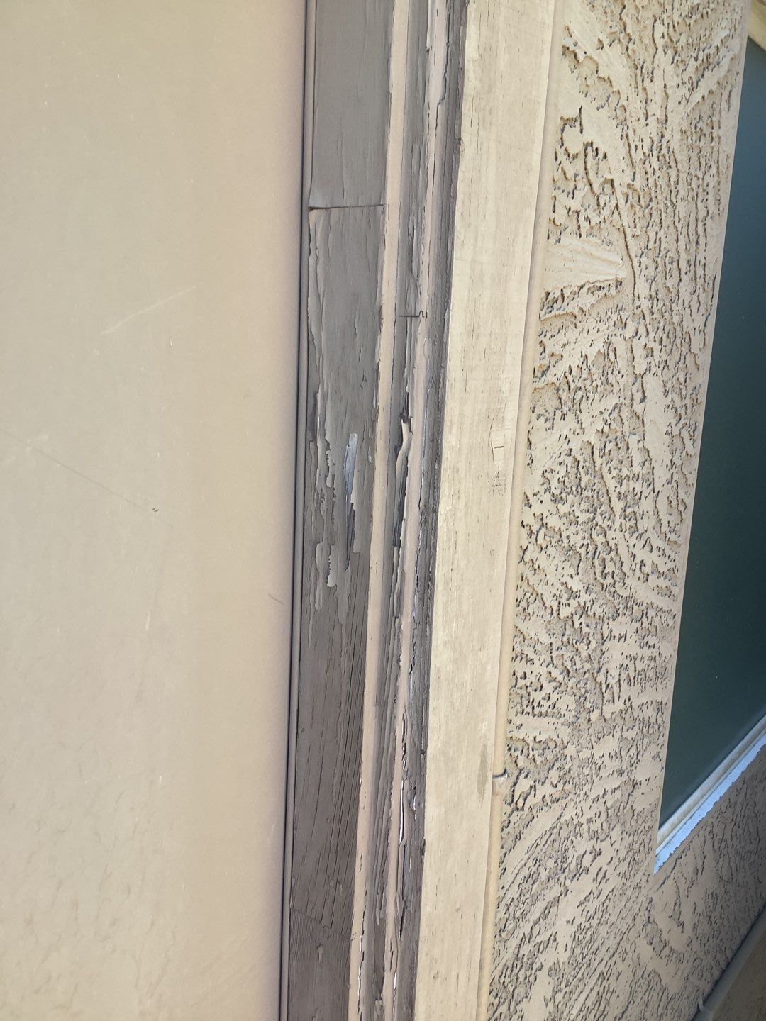 Exterior Painting - Peoria by Crash of Rhinos Painting & Garage Floors