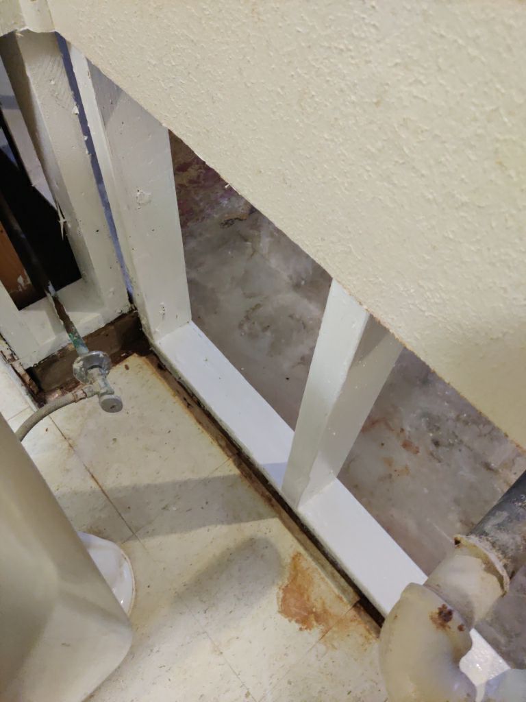 Mold Remediation in Basement by Accountable Home Services