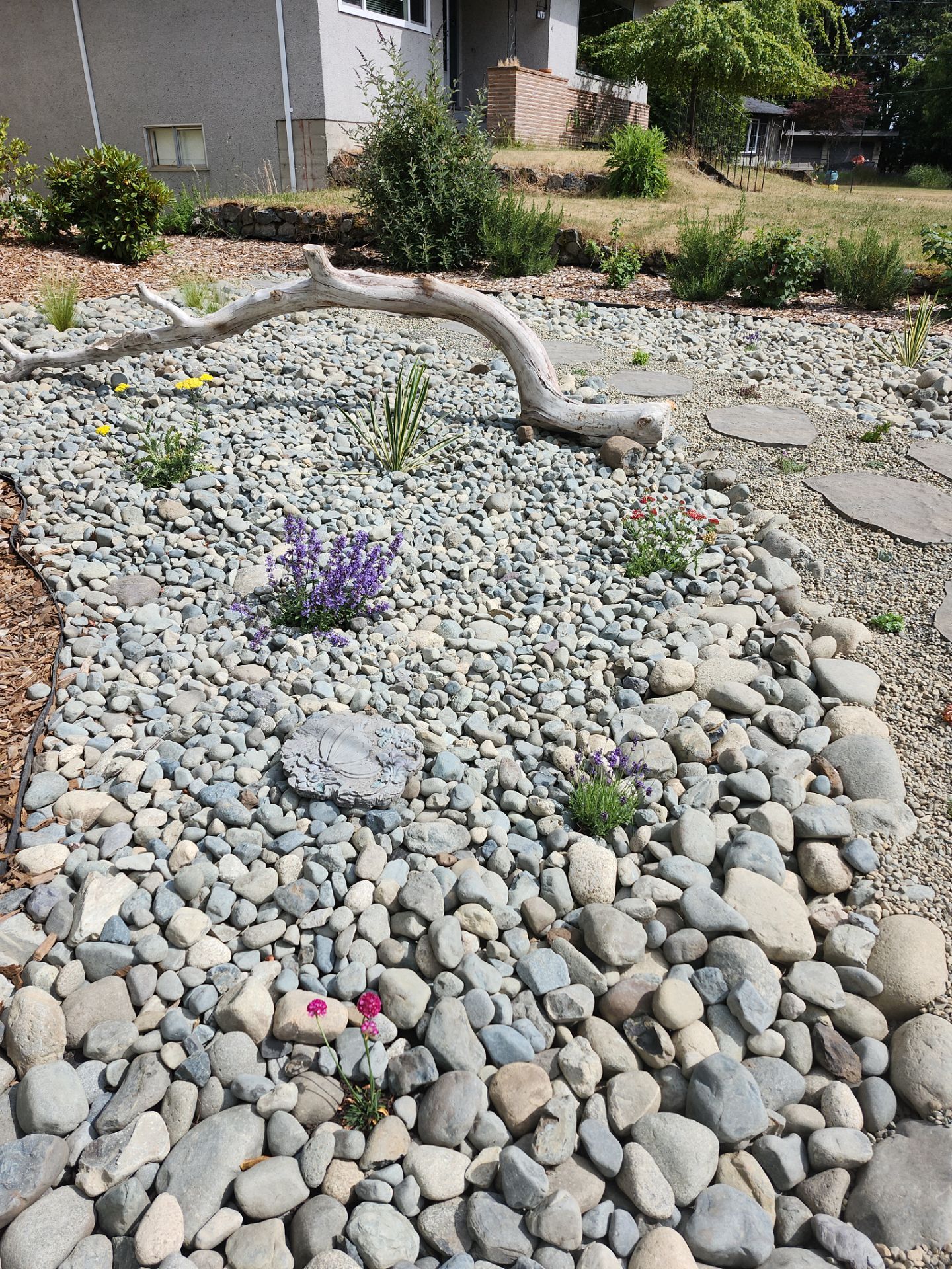 Front Yard Ecological Conversion – A West Coast-Inspired Low-Maintenance Oasis by Habanero Garden and Exterior Care