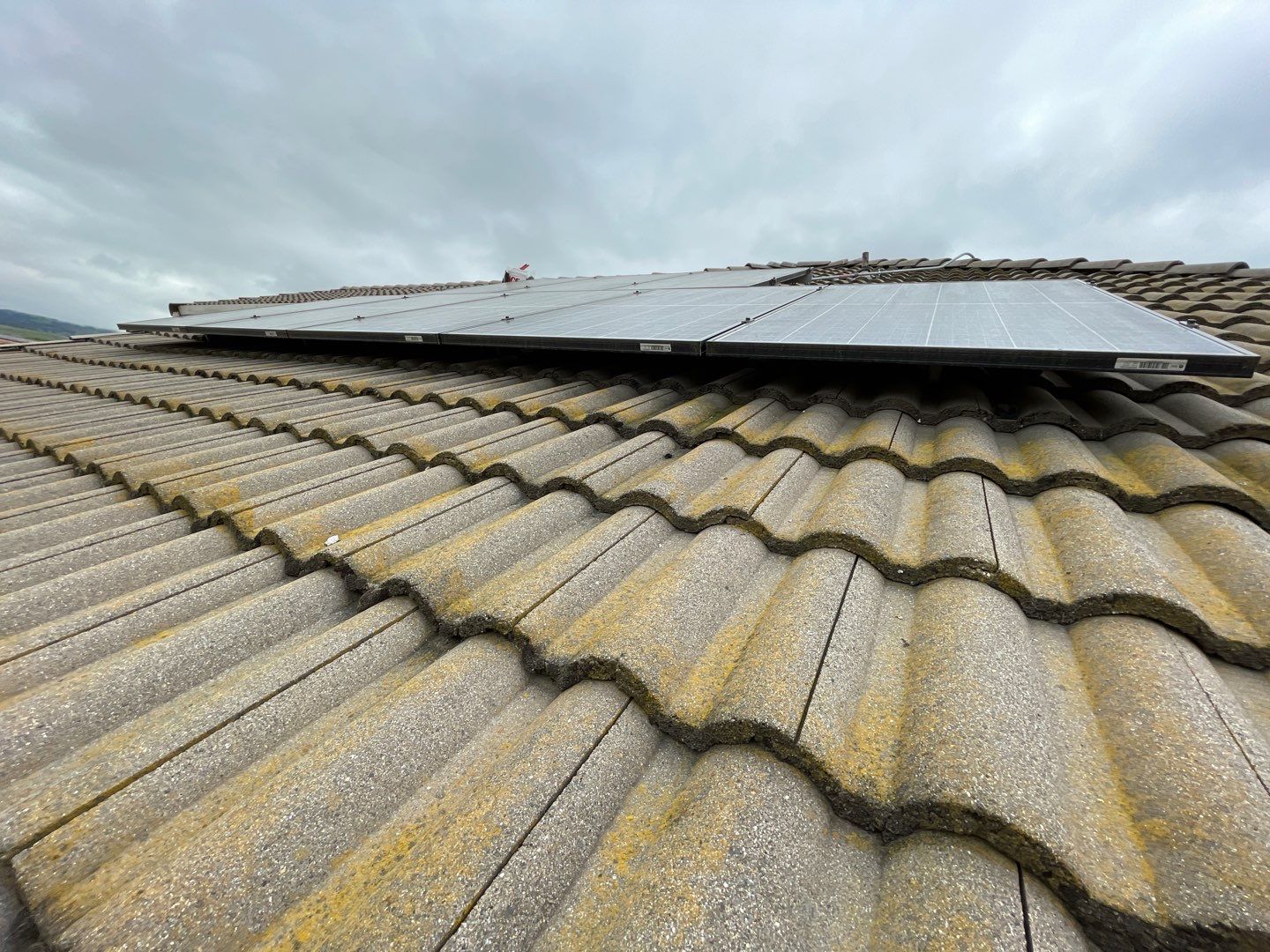 Solar Panel Bird Proofing-Morgan Hill by All One Solar Shine