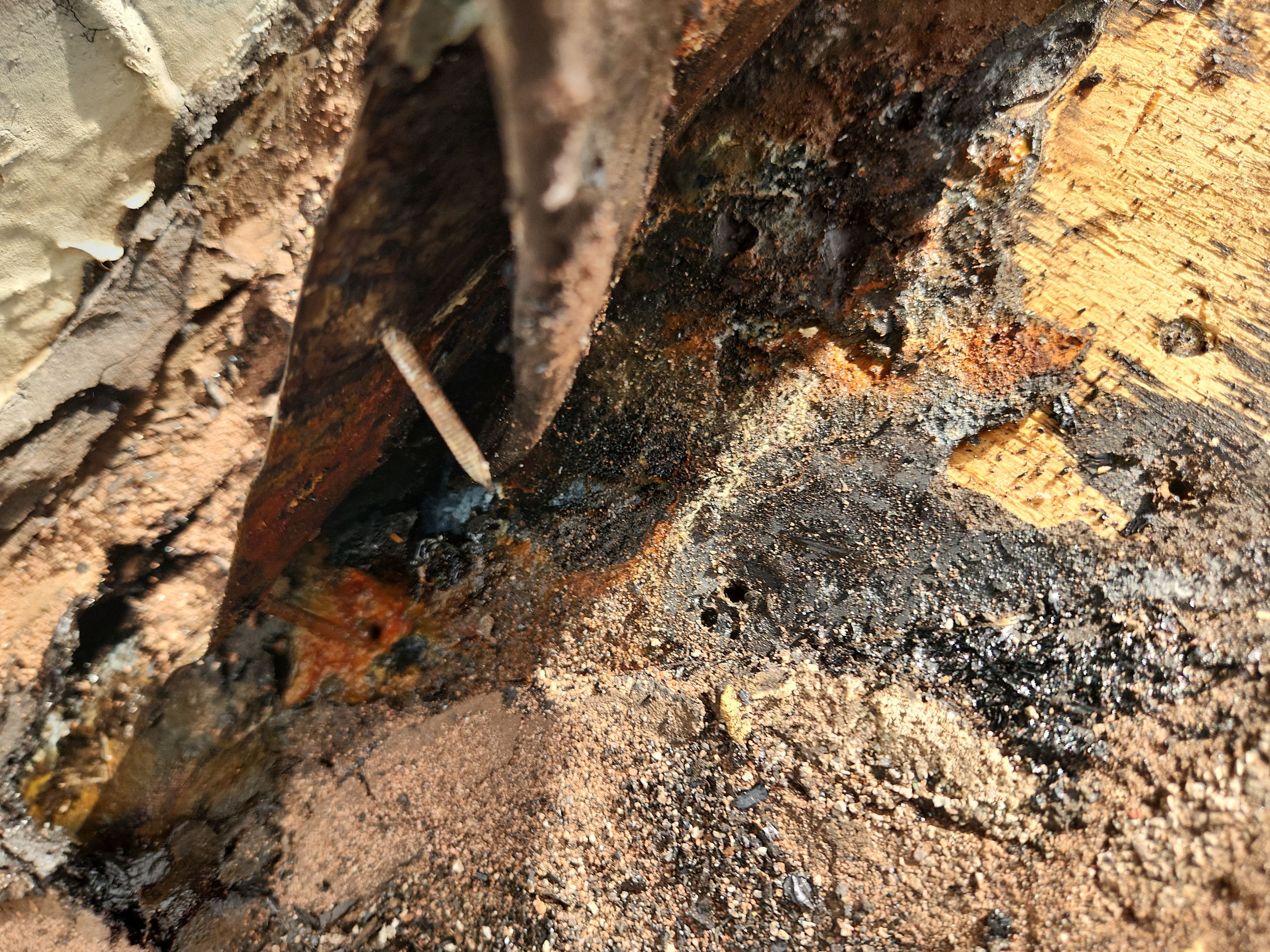 Clay Tile Roof Leak Repair and Sheathing Replacement in Hollywood by Aastro Roofing