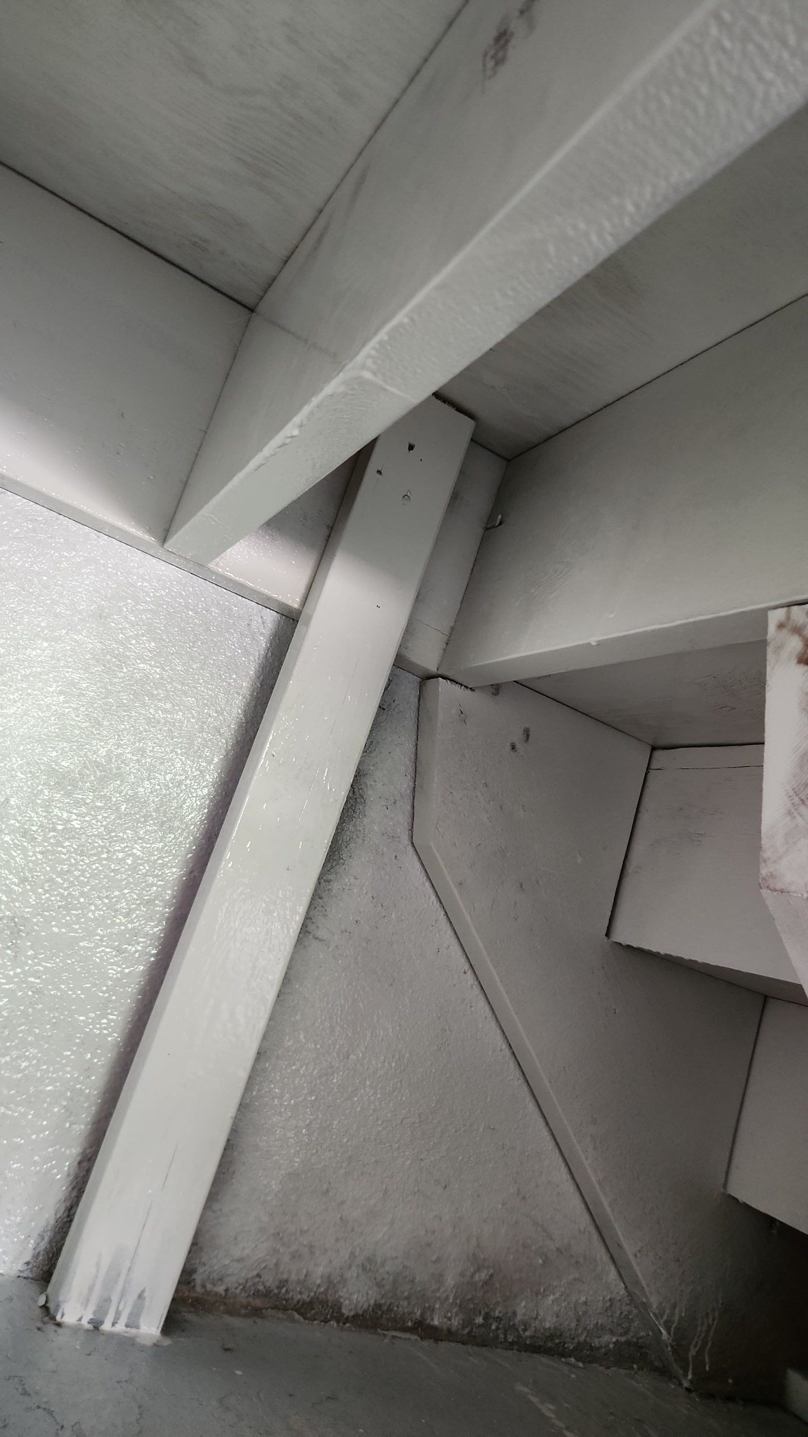 Attic Mold Remediation in Montville, NJ by Pure Service Pro, LLC