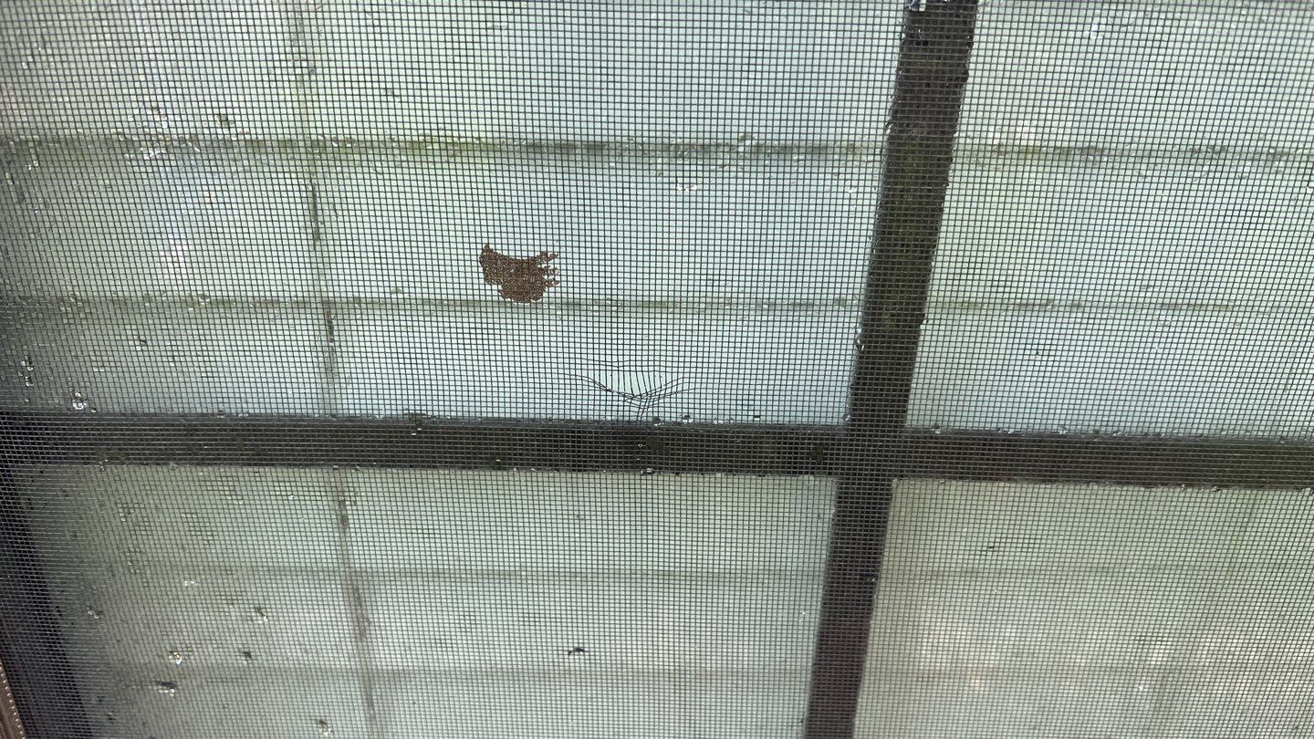 New foundings.  by VJR Brothers Roofing LLC