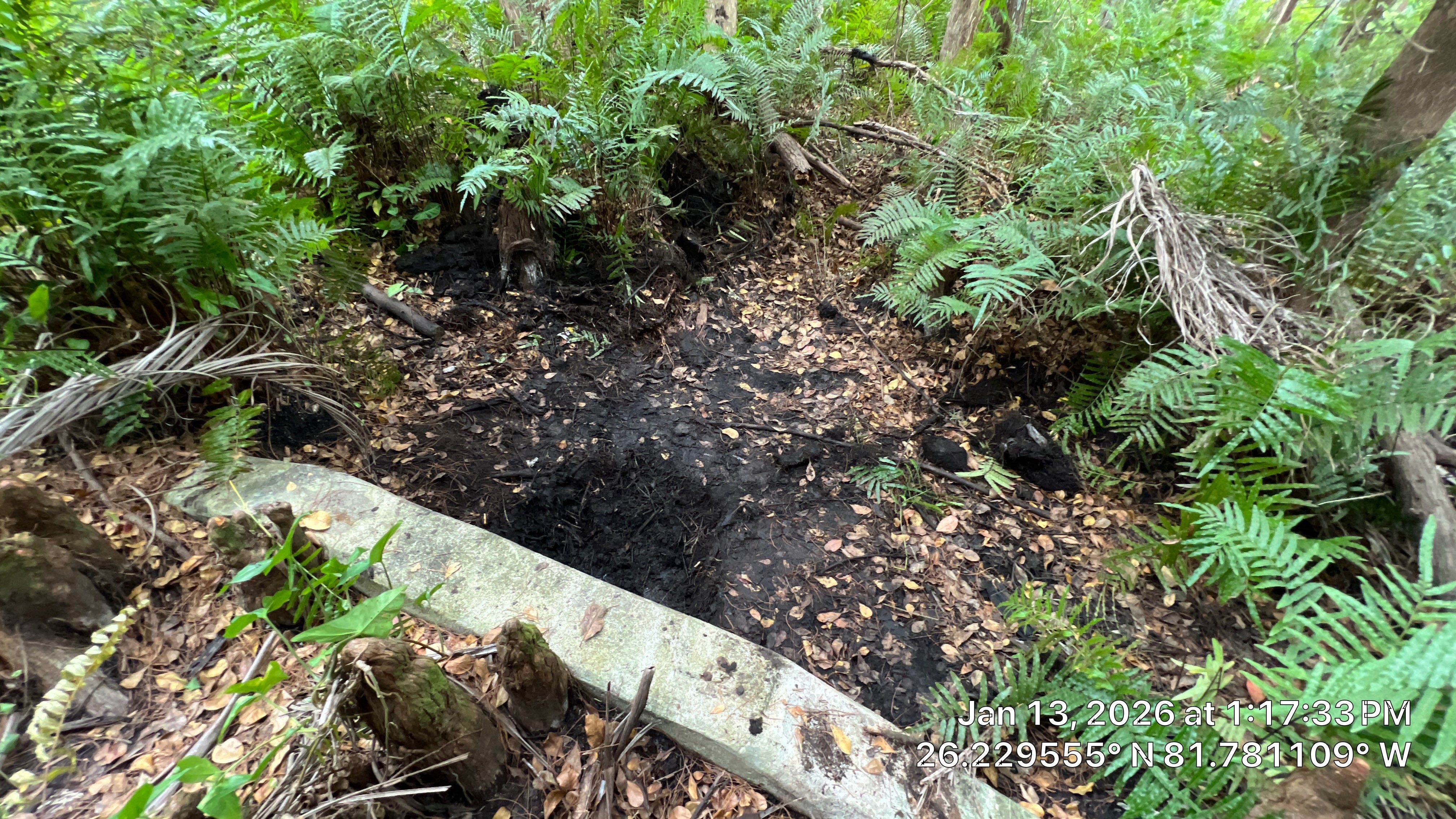 Naples Community Root Intrusion Investigation with P.R.S. by APS Power & Water