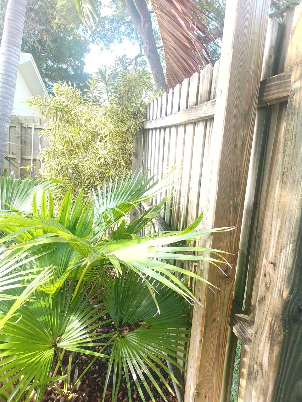 Bradenton, FL 6ft. White Vinyl Privacy Fence by Asap fence and gates, LLC