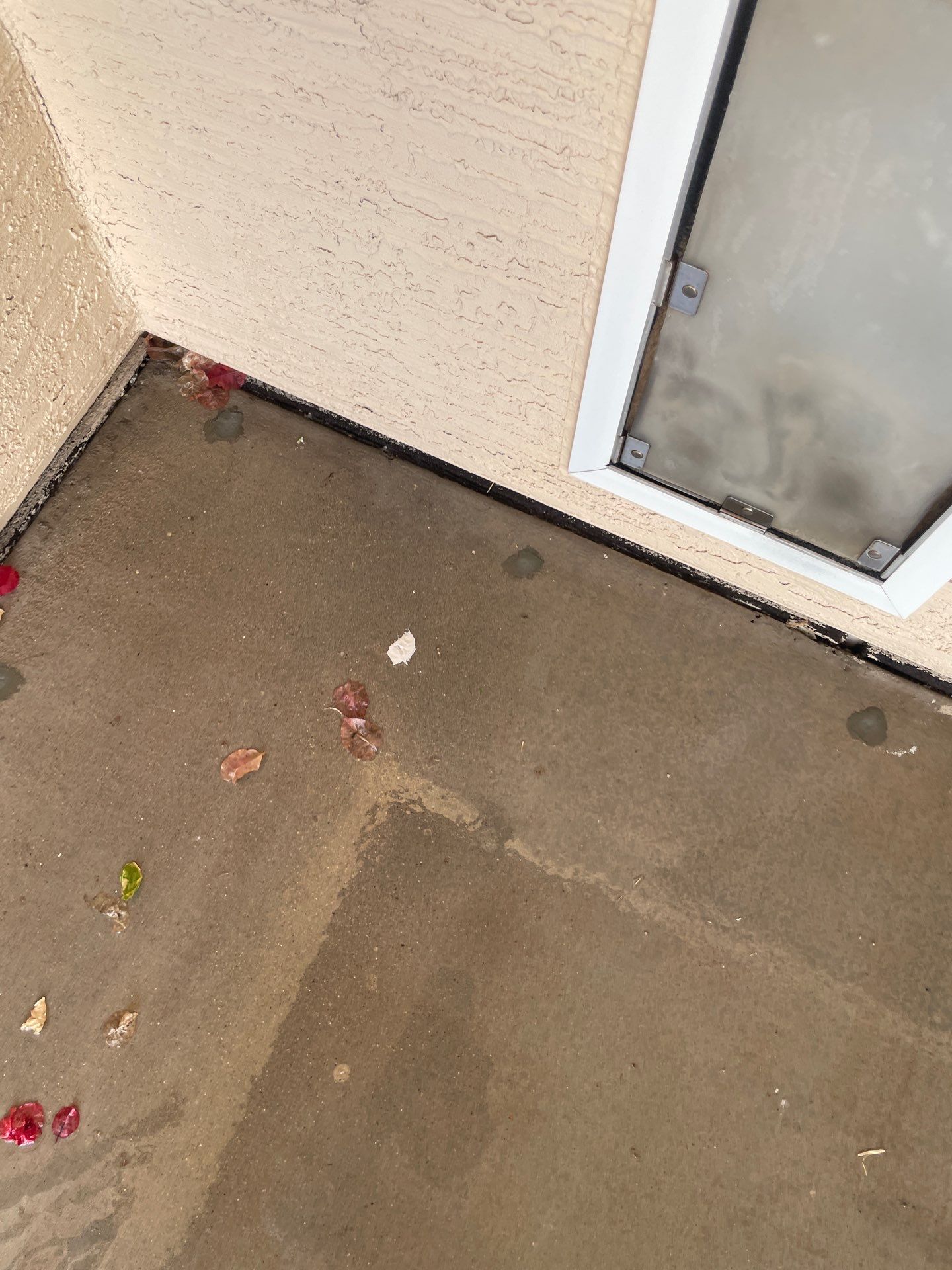 Hamilton - A Gorgeous Home Exterior Makeover in Phoenix, AZ with Dunn Edwards Paints by Double G Painting Contractors, LLC