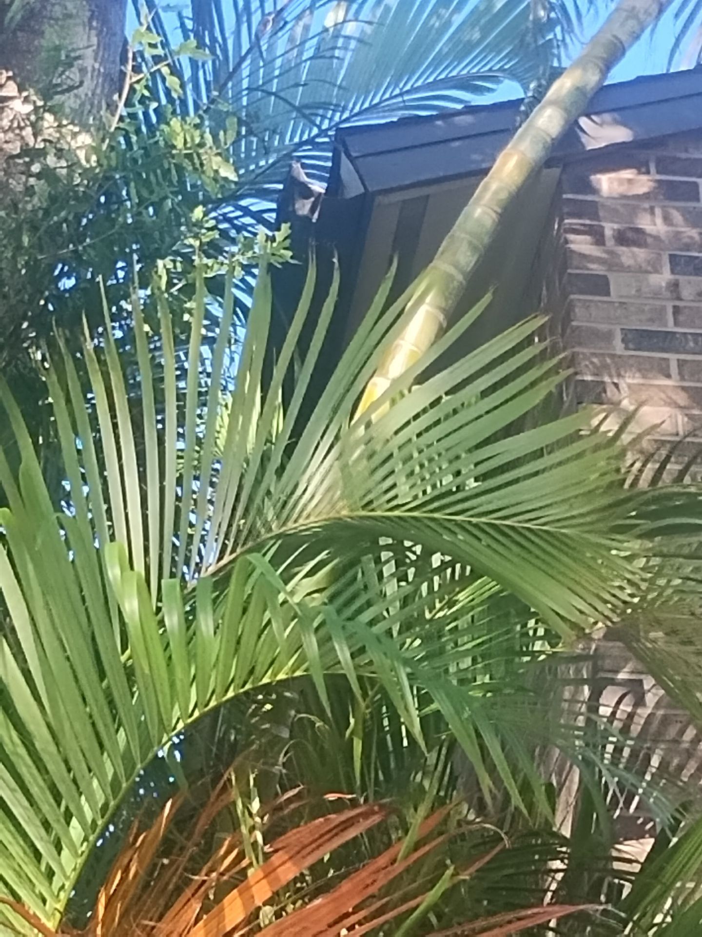 Residential Gutter System Upgrade in Fort Myers FL - 27 Building And Club House by Gutter Professors