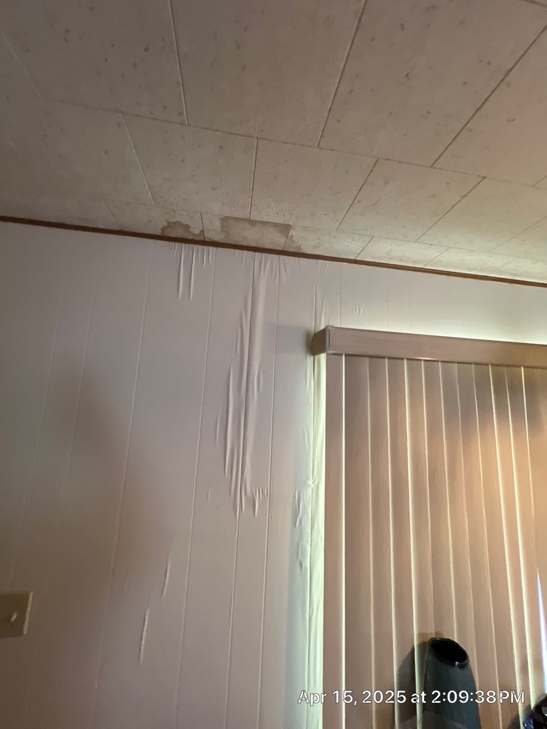 Mold Remediation Bradenton by Ampm Restoration Services