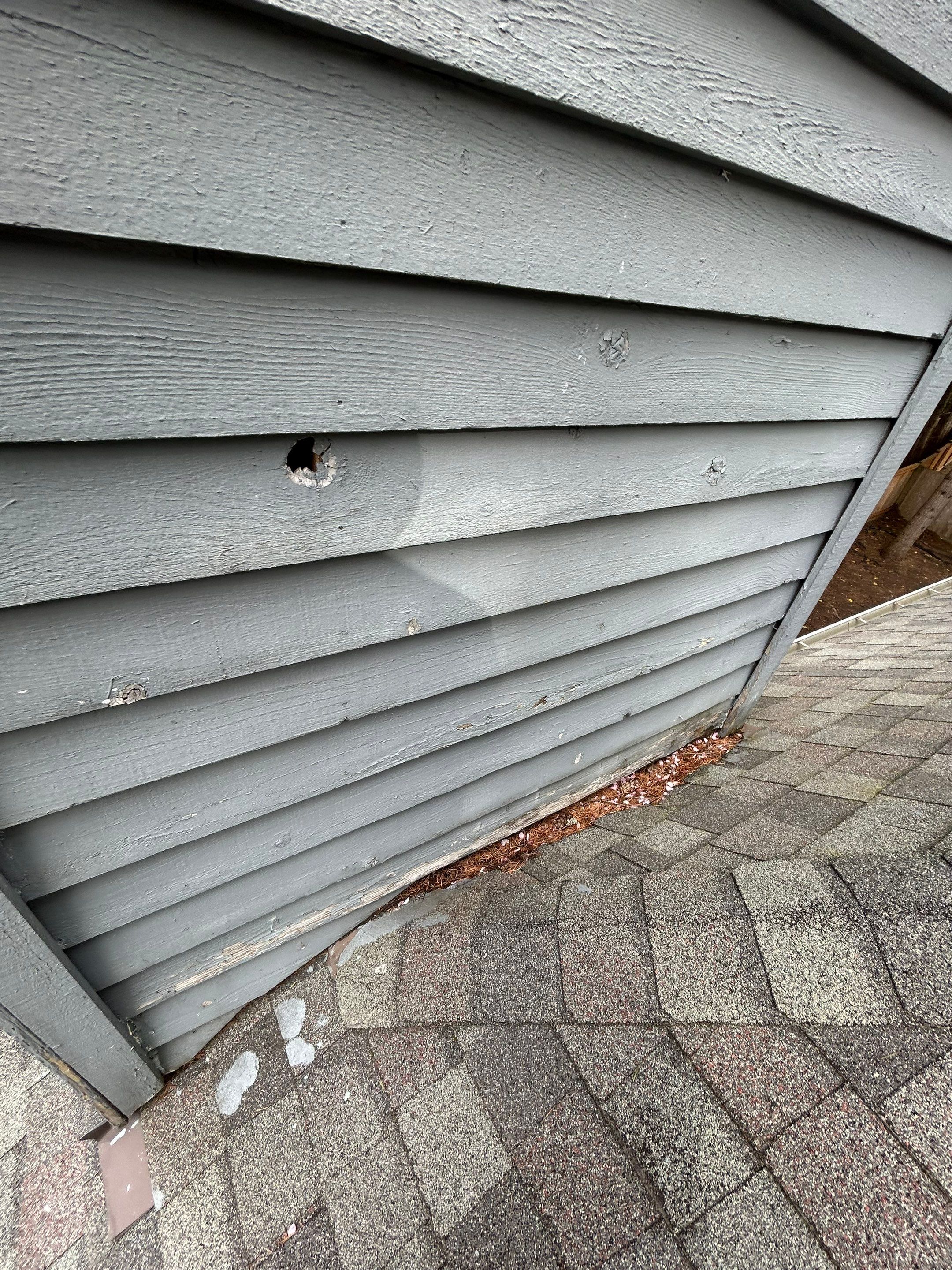 Project in Redmond by Peaks and Valleys Construction