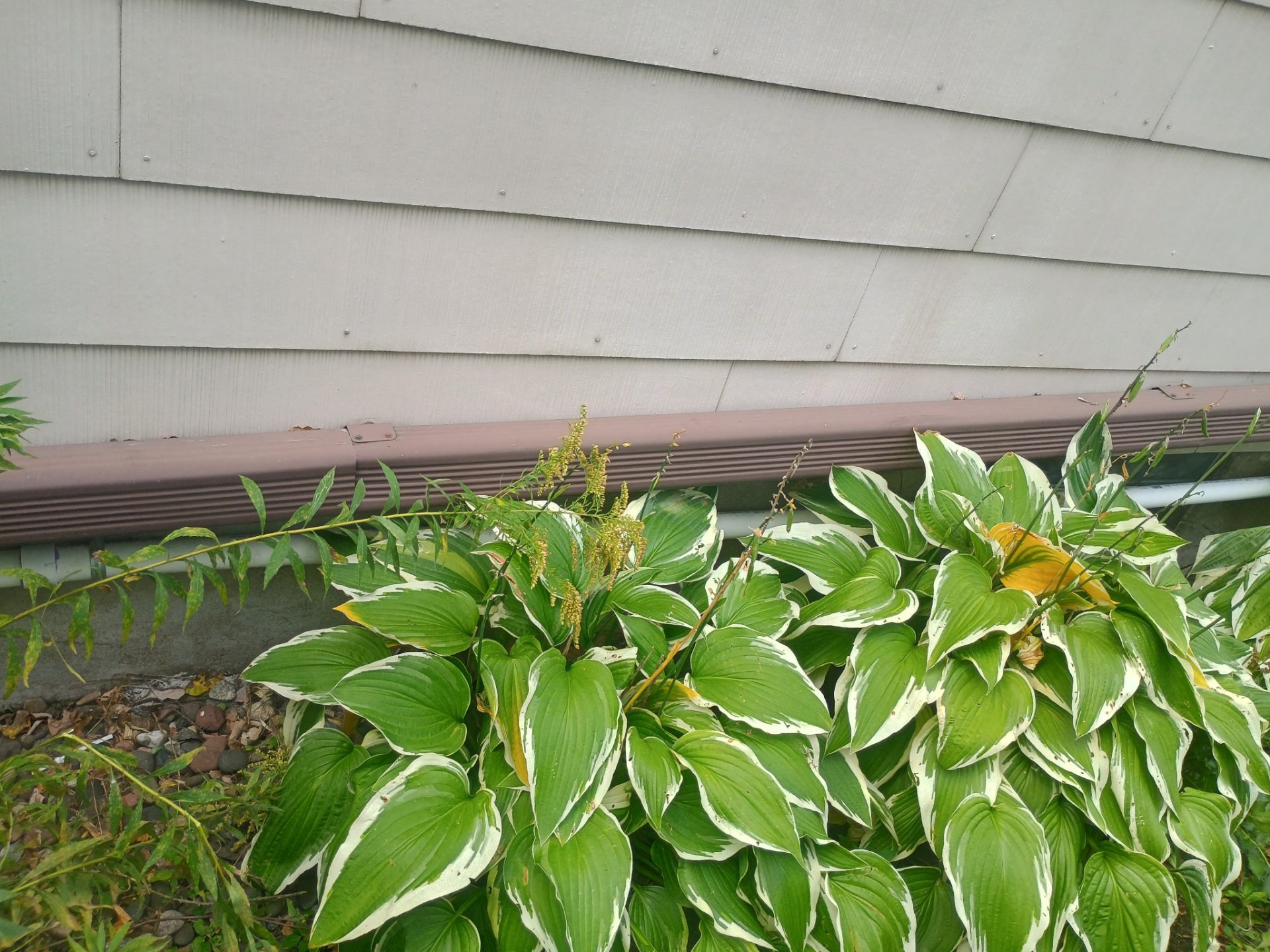 Basement Waterproofing in NE Minneapolis by Waterproofing Northeast