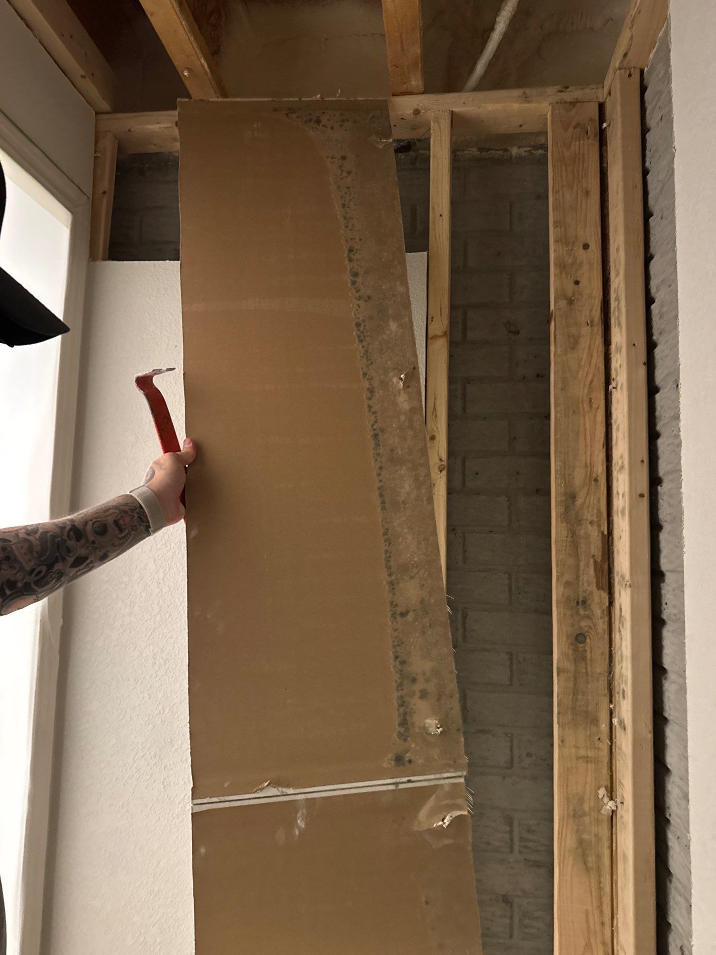 Mold Remediation in Lake Mills by Dry Source Property Restoration 