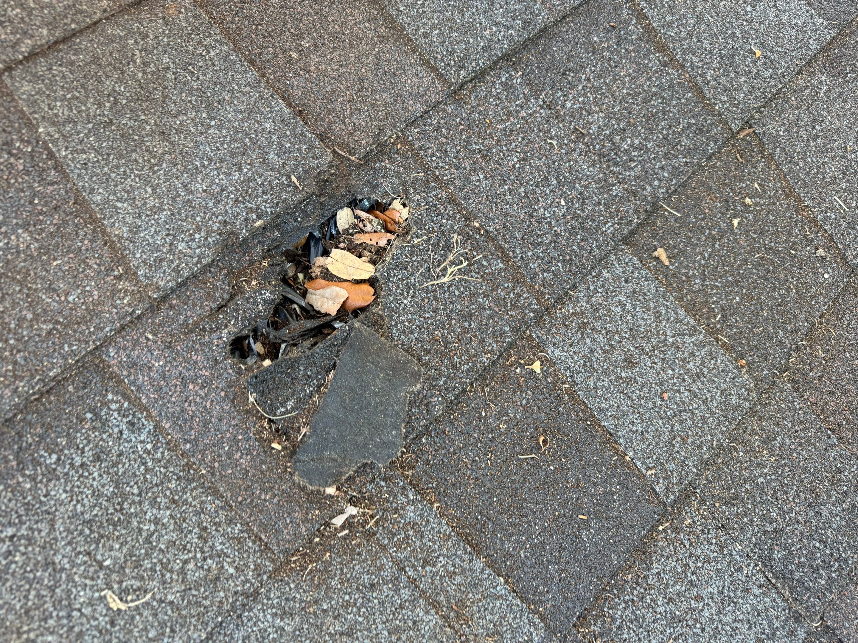 Project in Lakeland by You Restorations LLC DBA YOU-Home