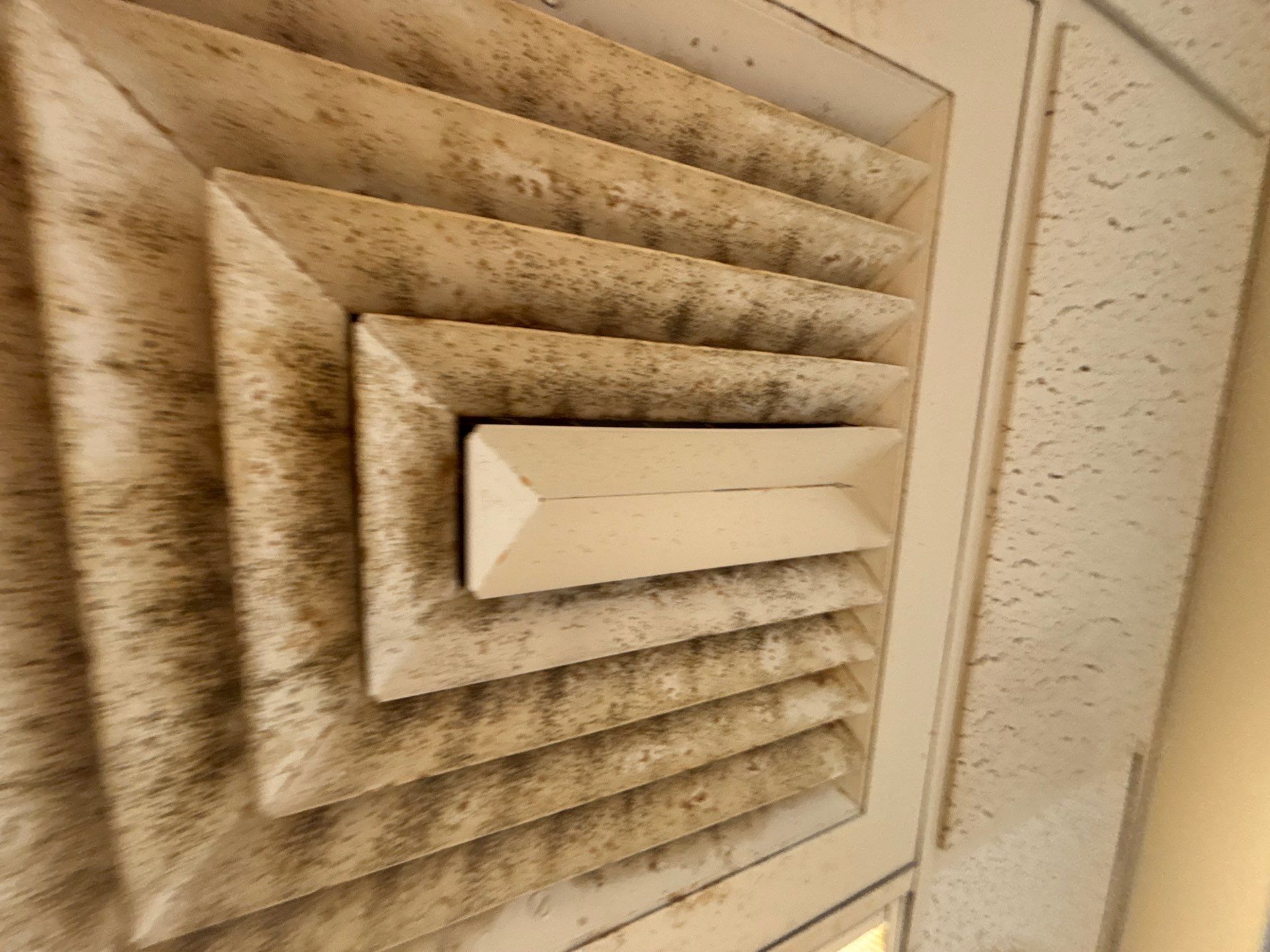 Commercial Air Duct Cleaning in Clermont by Hygienic Air, Inc