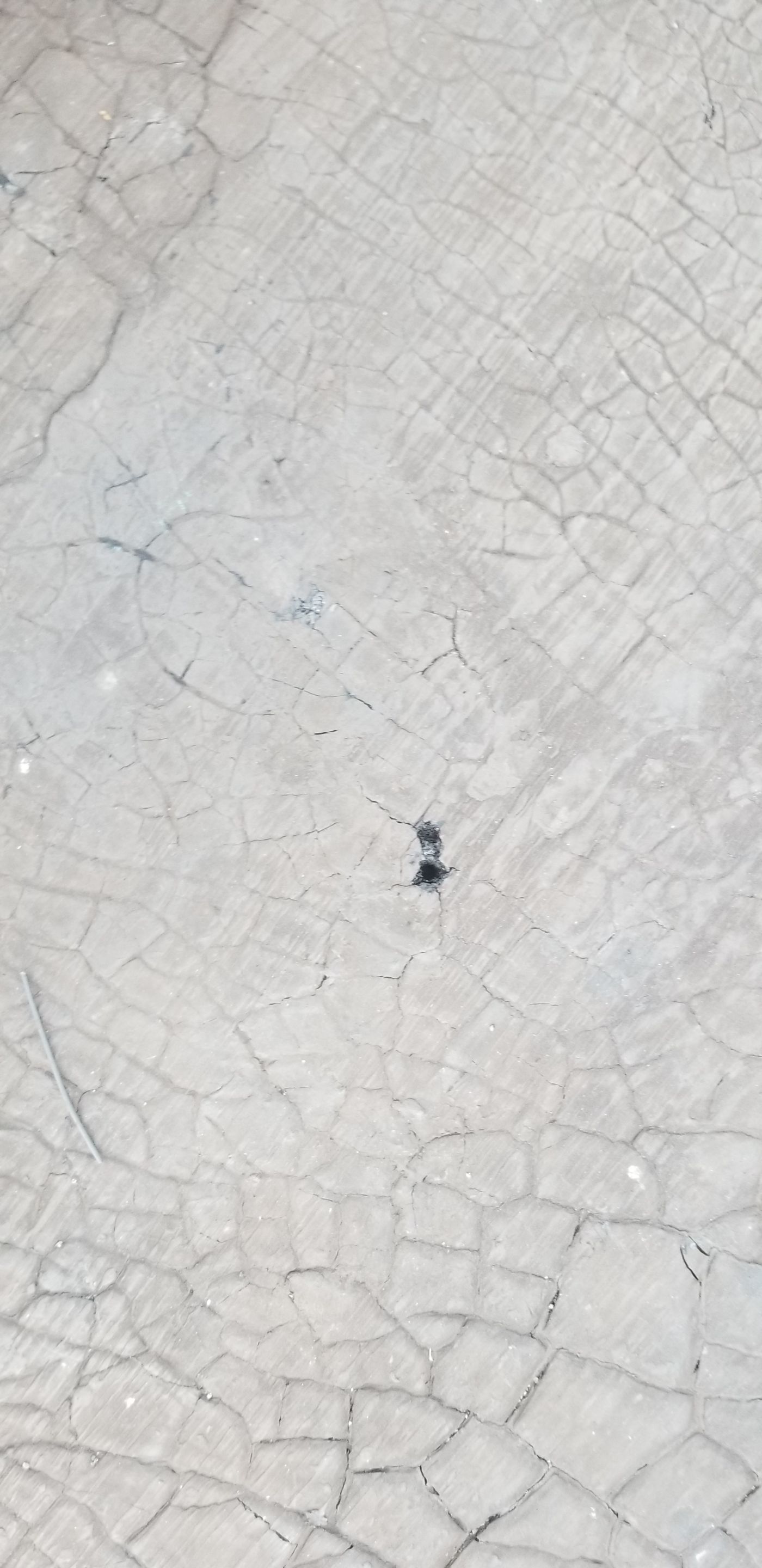 Project in Louisville by Geoghegan Roofing 