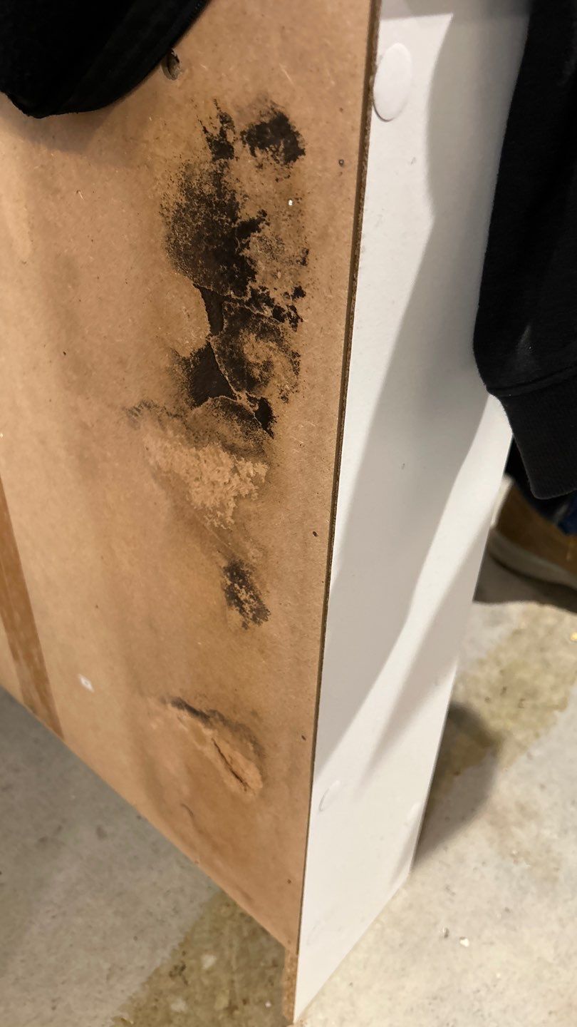 Mold Remediation in Bethpage NY by long island mold guy