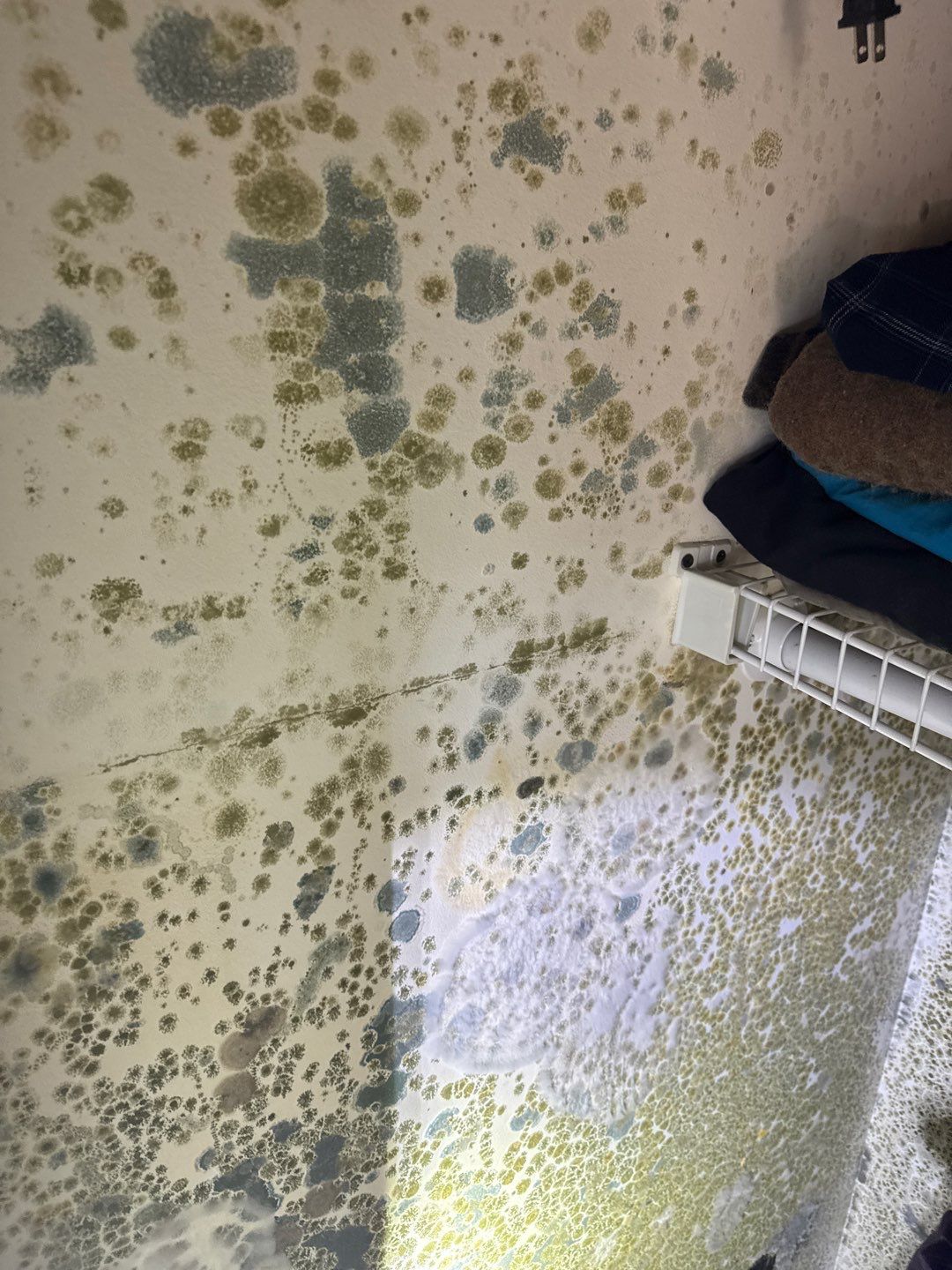 Water Damage& Mold Remediation Project-Dover, DE. by Healthy Home Solutions