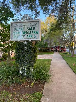 Tree Work | Garden Club of Jacksonville