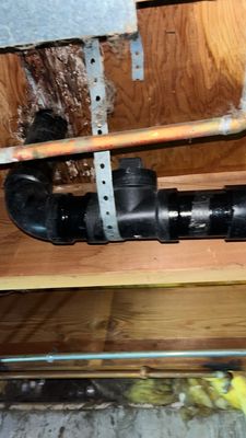 Mold Damage Project in Littleton