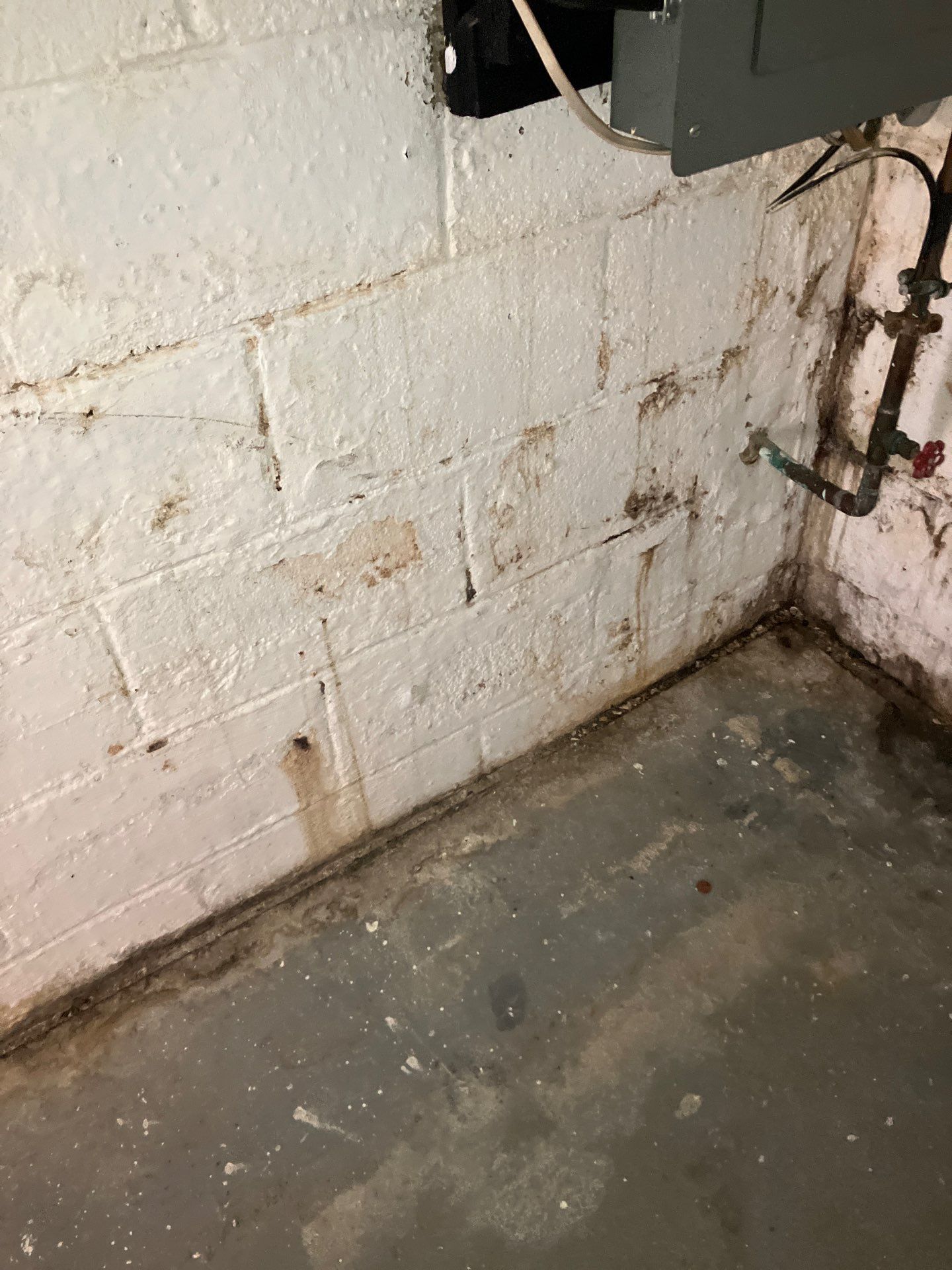 Utility Basement Mold Remediation and Sanitation Corner Case Study by Right On Time Restoration