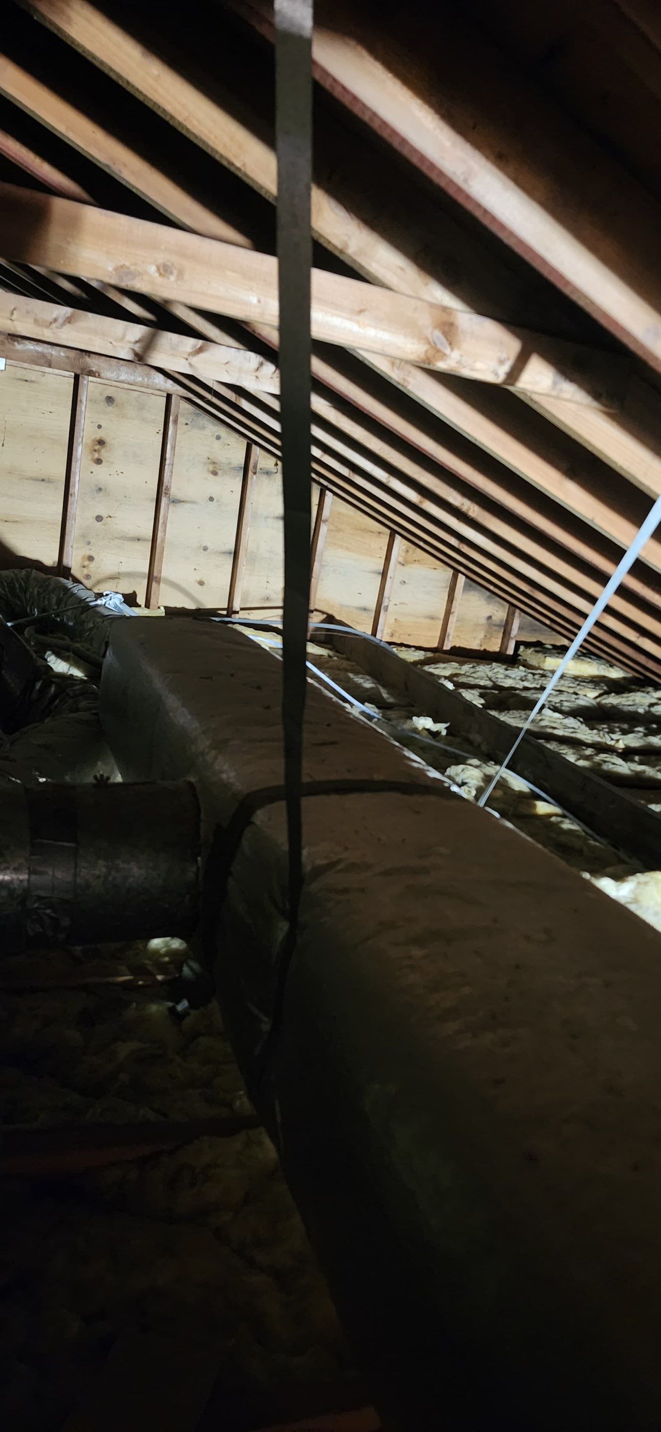 Attic Mold Remediation in Montville, NJ by Pure Service Pro, LLC