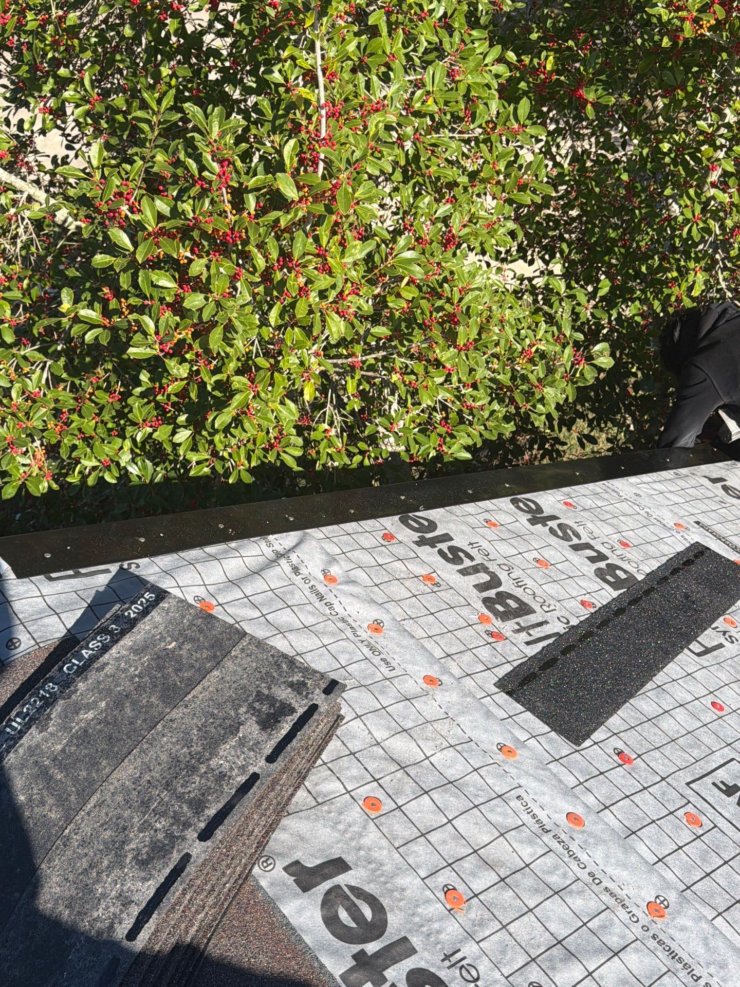 LEAH B by Boss Hogg Roofing