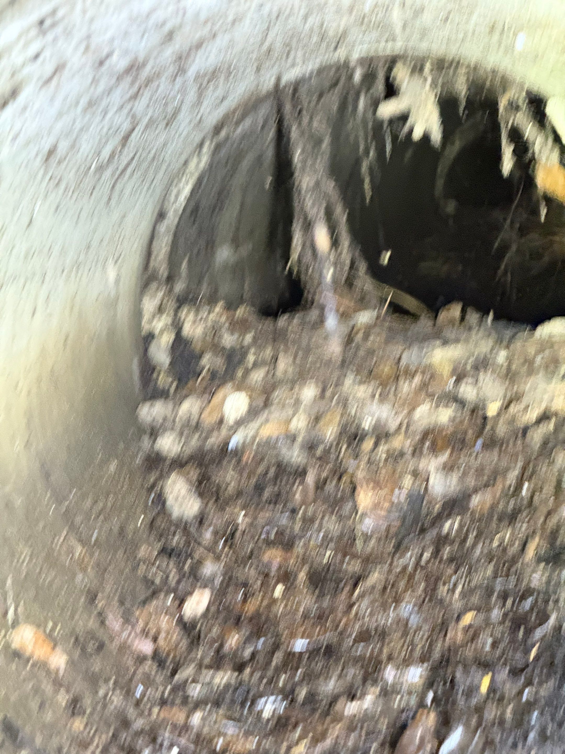 Naples RV Resort Stormwater System Maintenance  by Don Mar, Inc. Storm Water Solutions