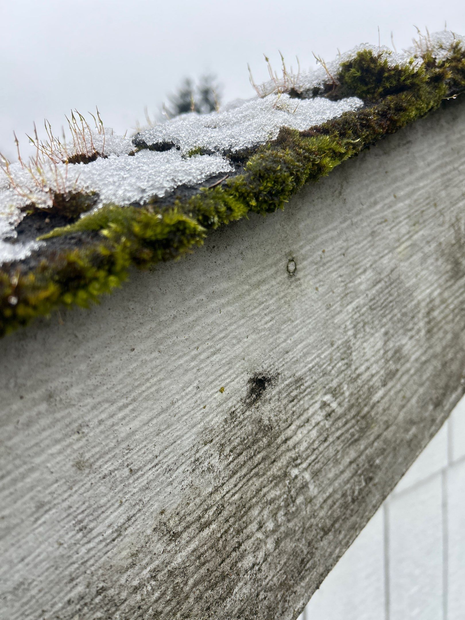 Roof in Lake Stevens by Connolly Construction Company