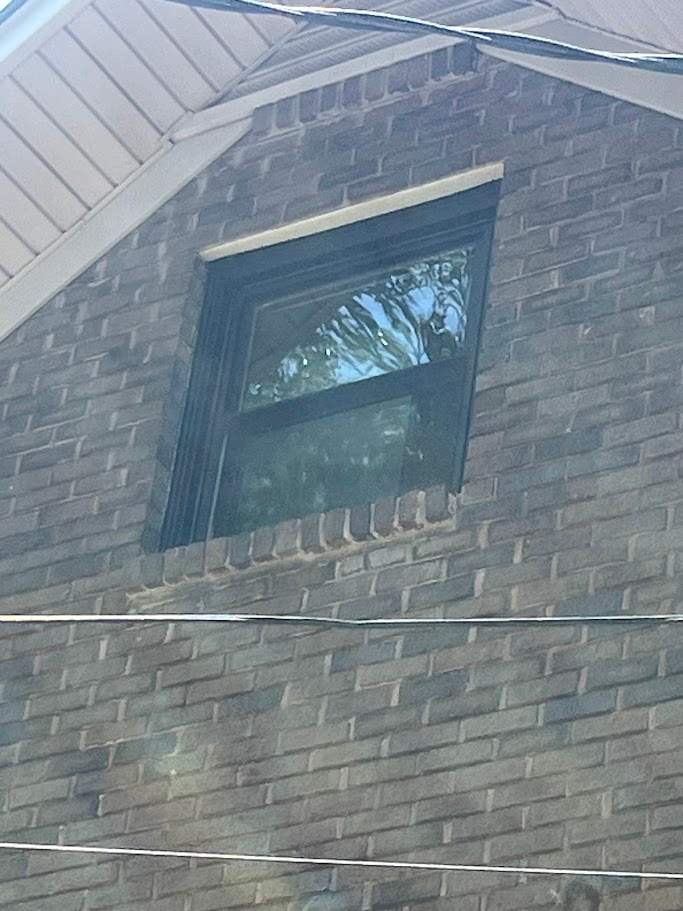 Pantanzis Project in Birmingham by The Window Source