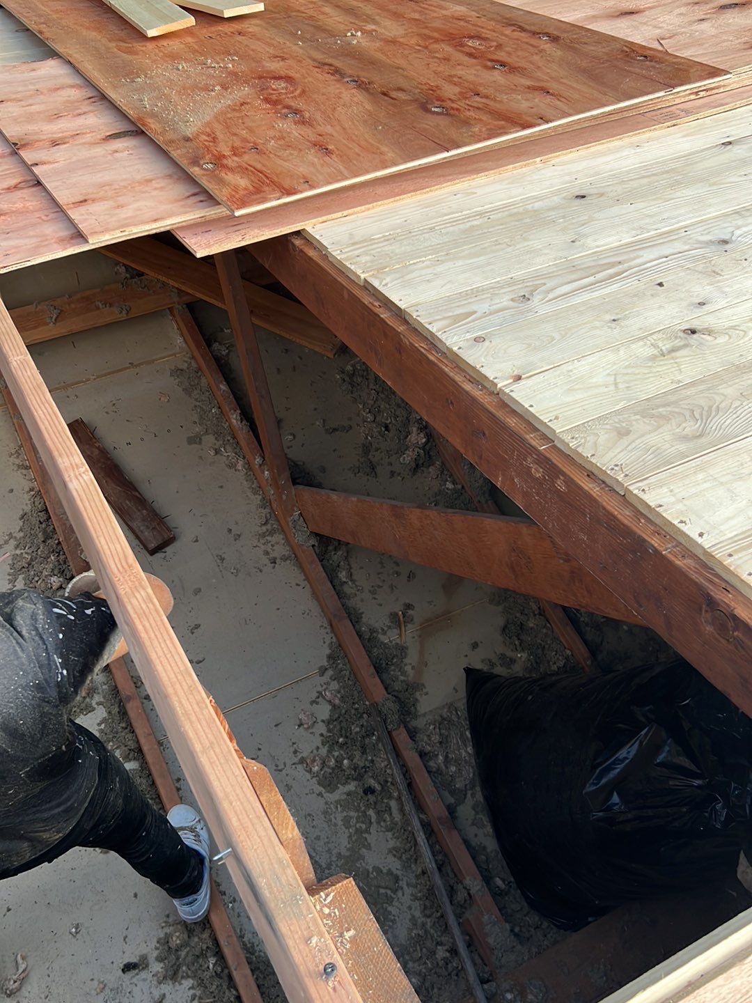 Springfield Tree Damage Restoration: CertainTeed Landmark Designer Shingles in Charcoal Black by RM Banning, Inc.