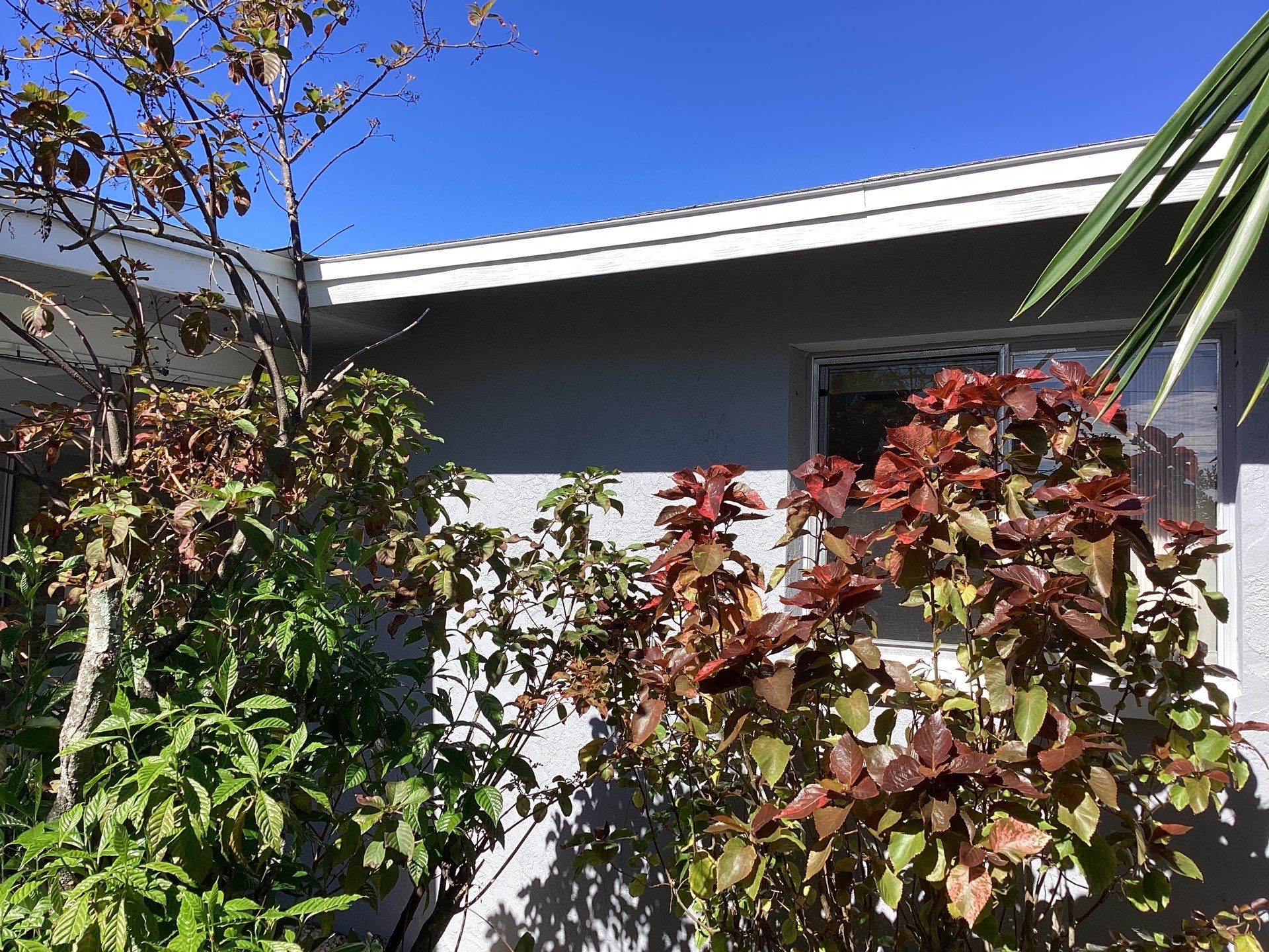 Gutter Repair and Cleaning in Cape Coral FL by Gutter Professors