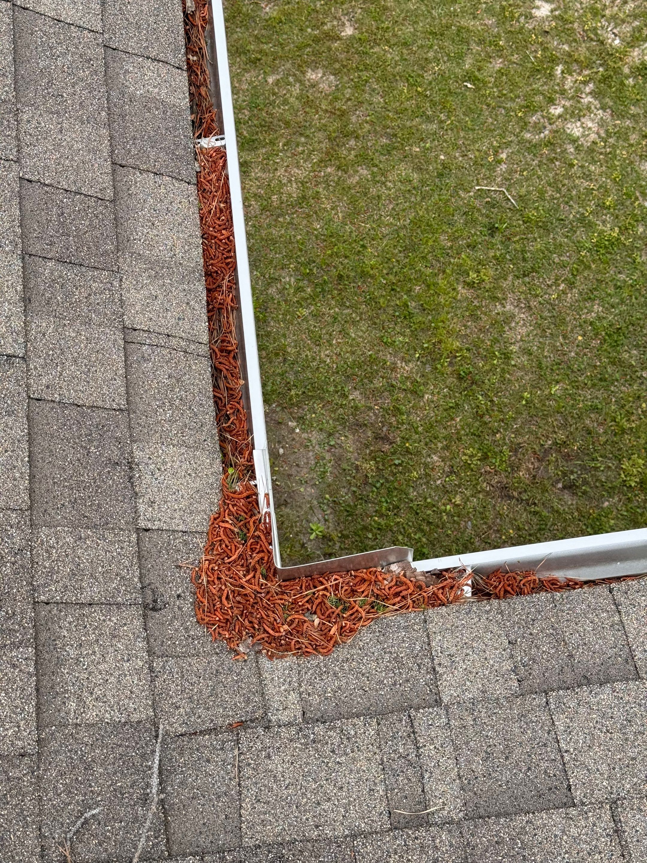 Commercial gutter cleaning Georgia before photo with filled gutters
