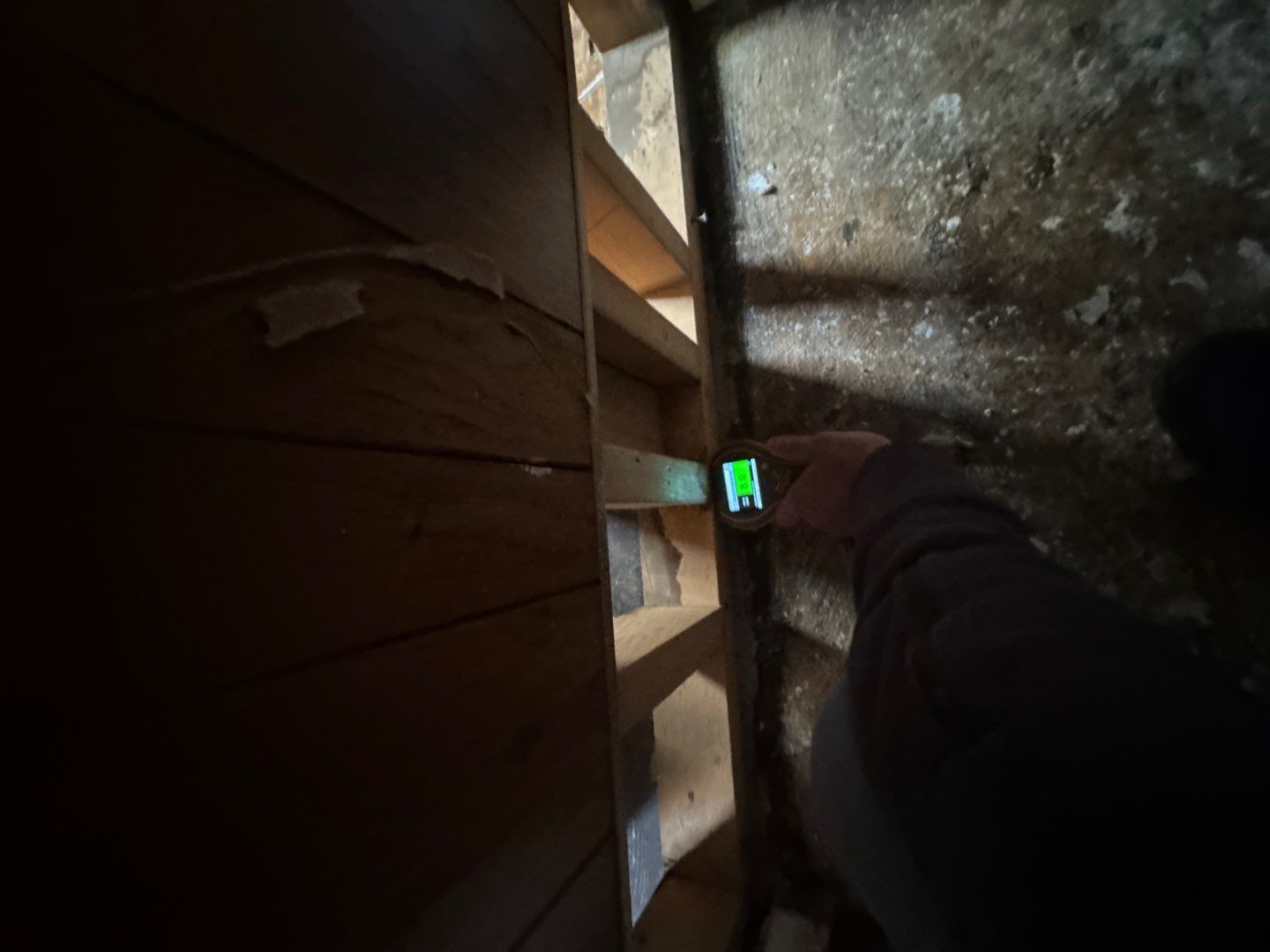 Project in Royal Oak by EzDry Water Mitigation & Property Restoration