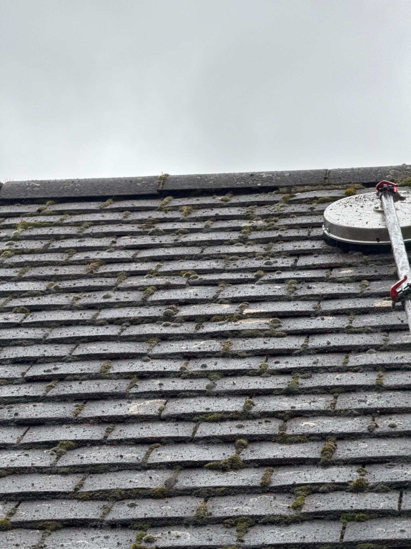 Commercial Roof Clean -Block Of Flats using Honda 15lpm Low Pressure Washing Machine by Ges Exterior Cleaning ltd