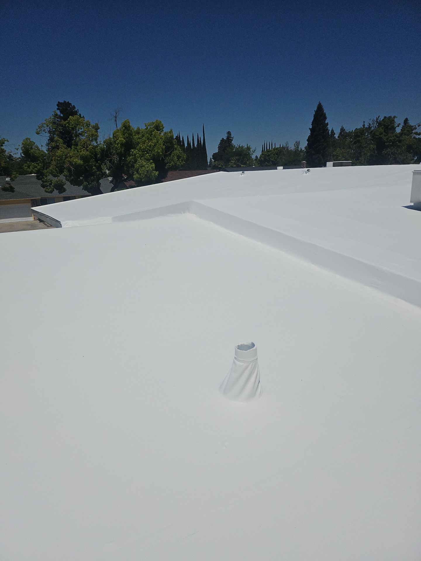 Single-ply restoration system using Benchmark/PUMA XL coatings over TPO single-ply roofing by Straight Edge Roofing Inc