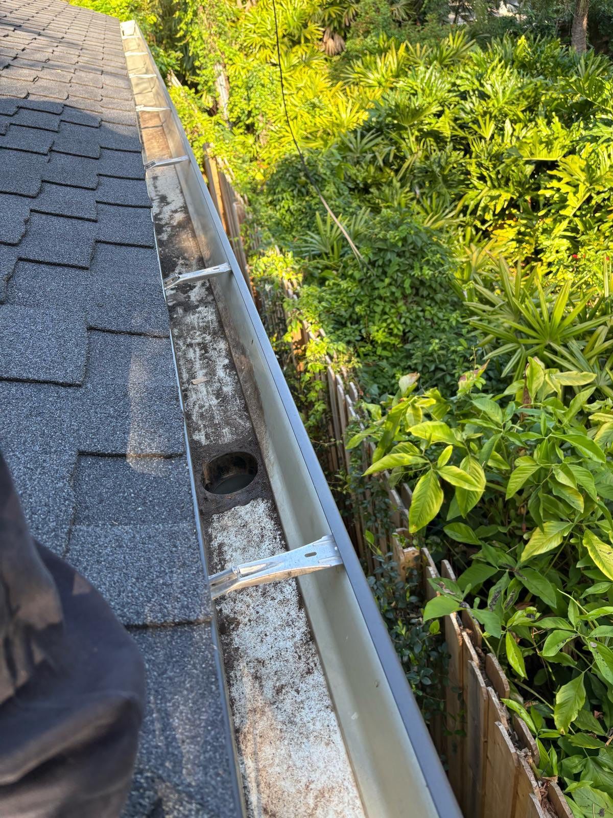 Gutter Cleaning Service in Sarasota FL by Gutter Professors