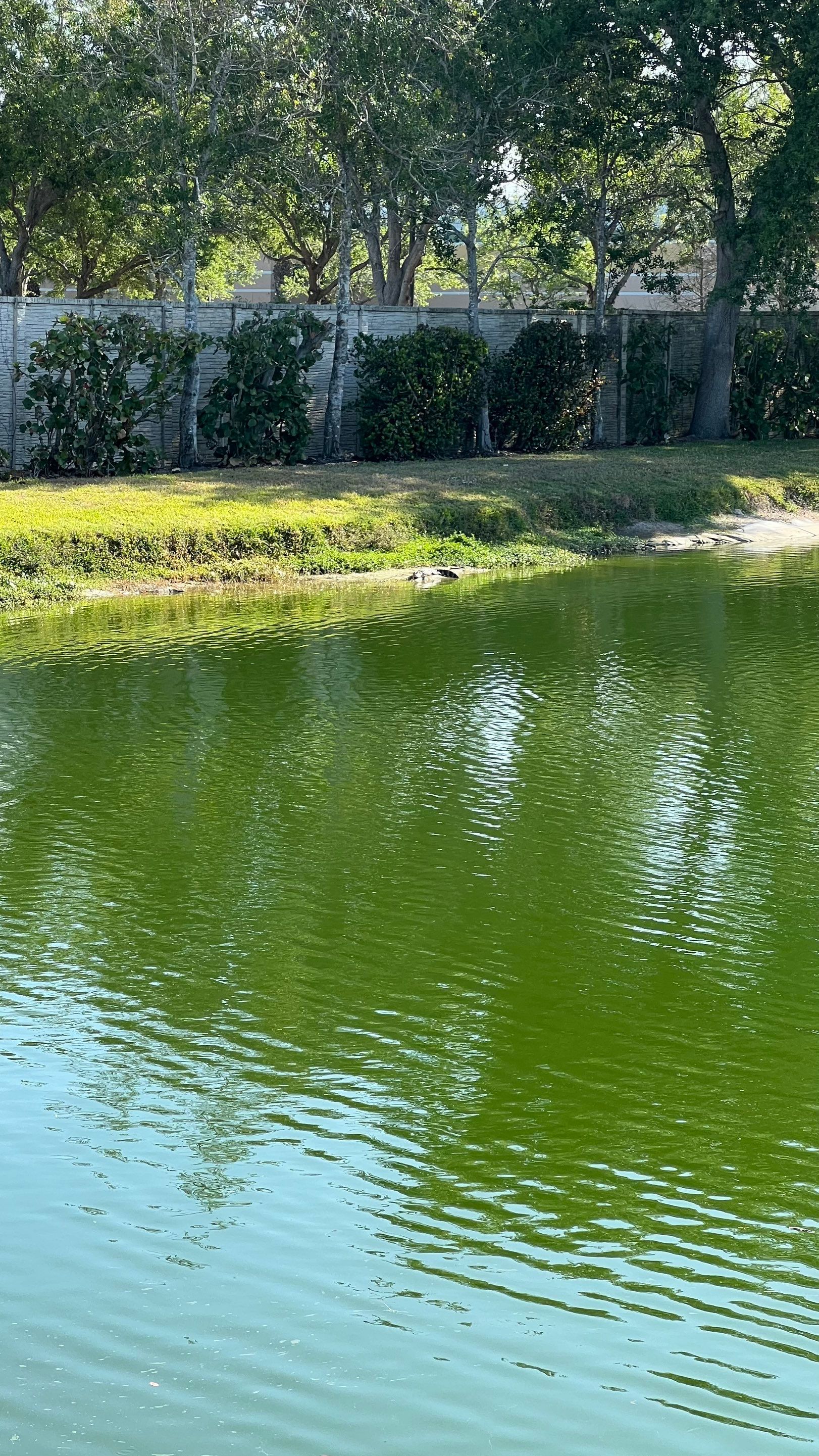 Estero Community Stormwater System Maintenance by APS Power & Water