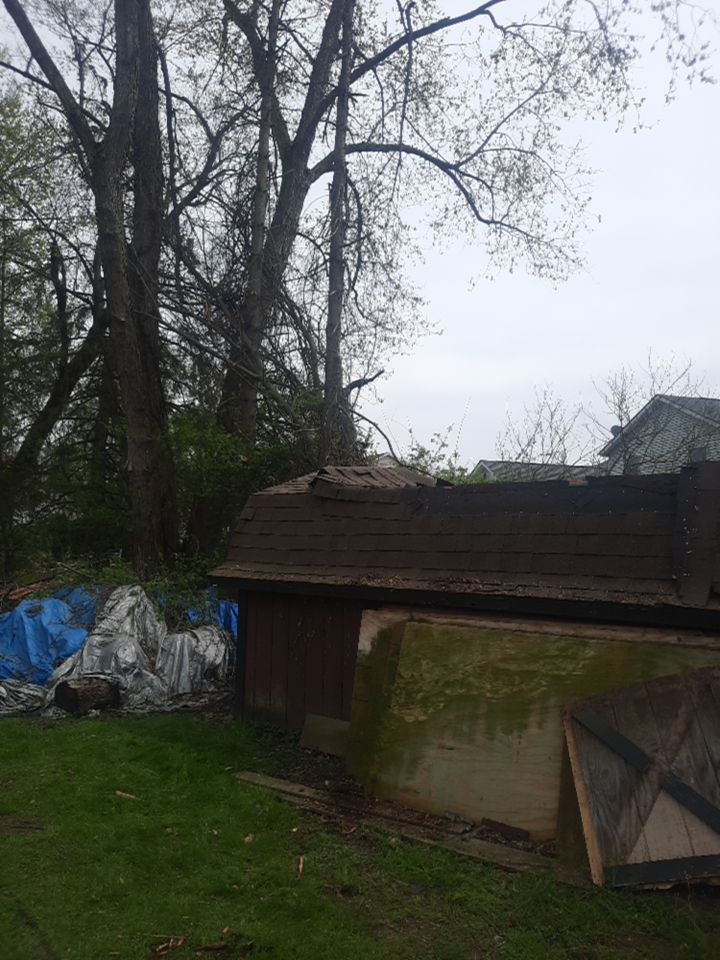 Tree Damage using Tree Removal by Mike Jones & Sons Tree Service LLC 