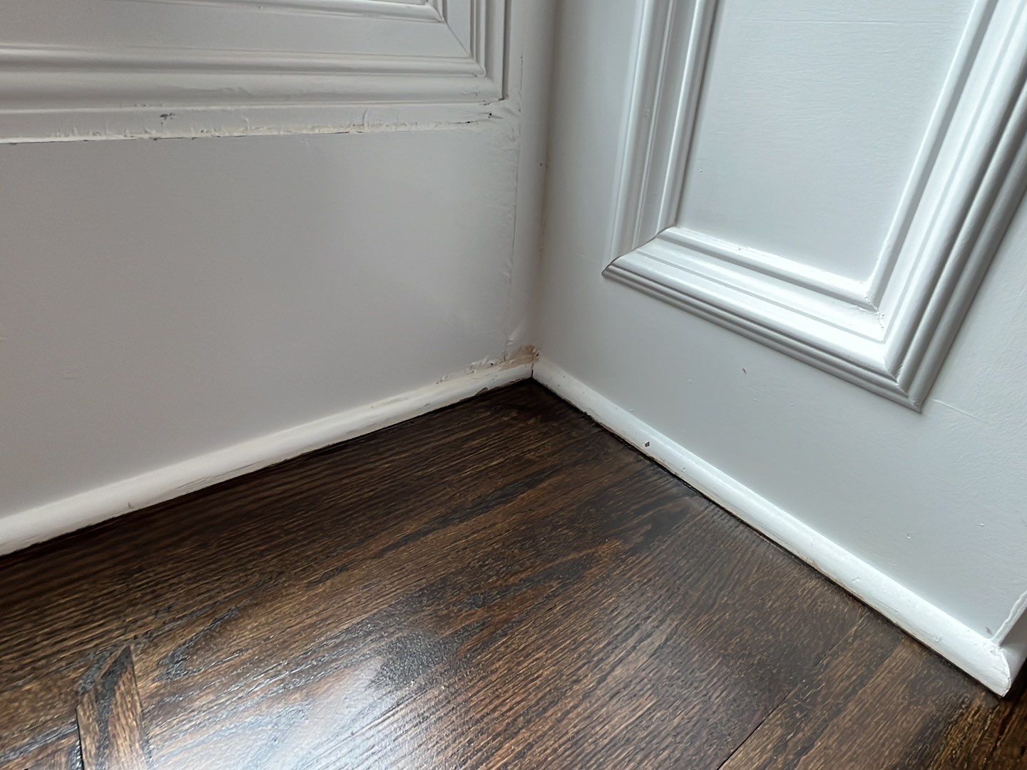 Water Damage by G2