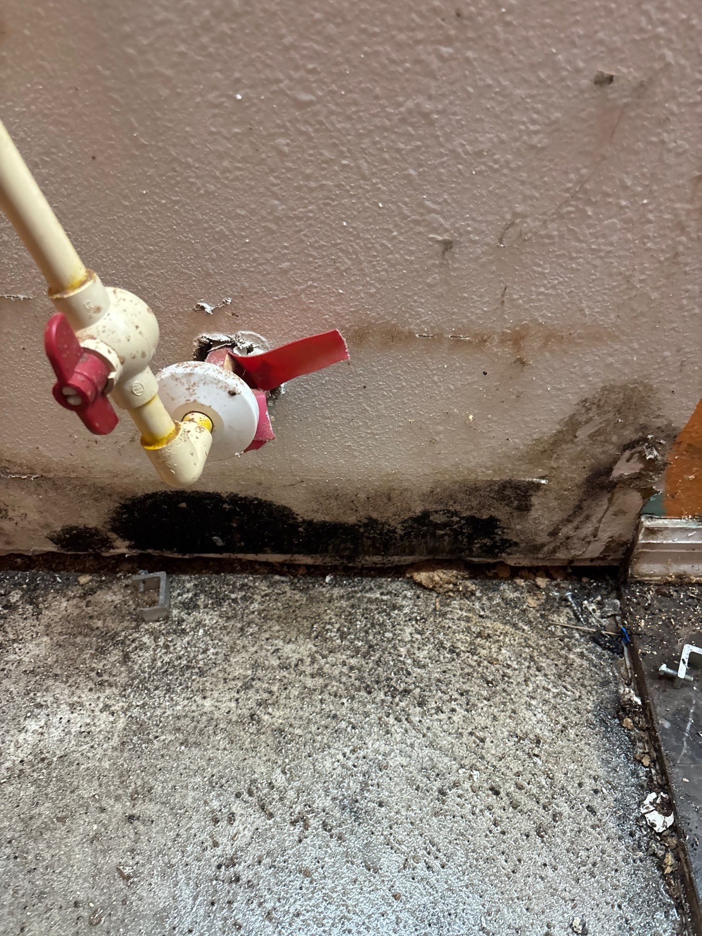 Mold Inspection & Removal In Riverview, FL by Ampm Restoration Services