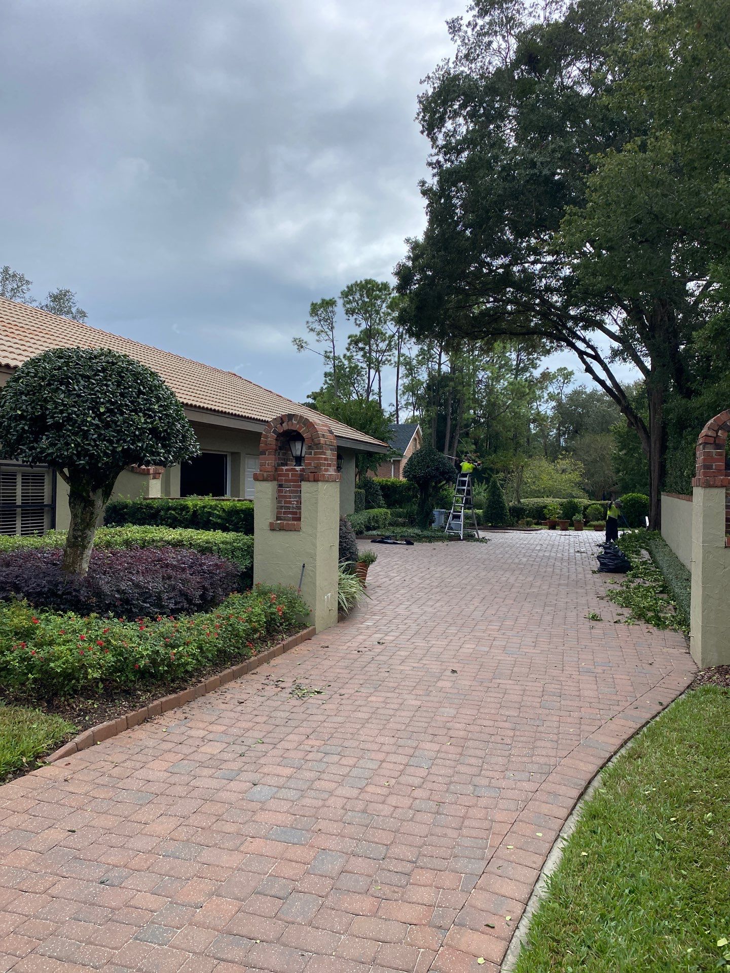 Deerwood Resident | Shrub Work by ProGreen Services