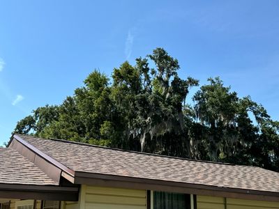 Shingle Reroof Replacement New Smyrna Beach FL