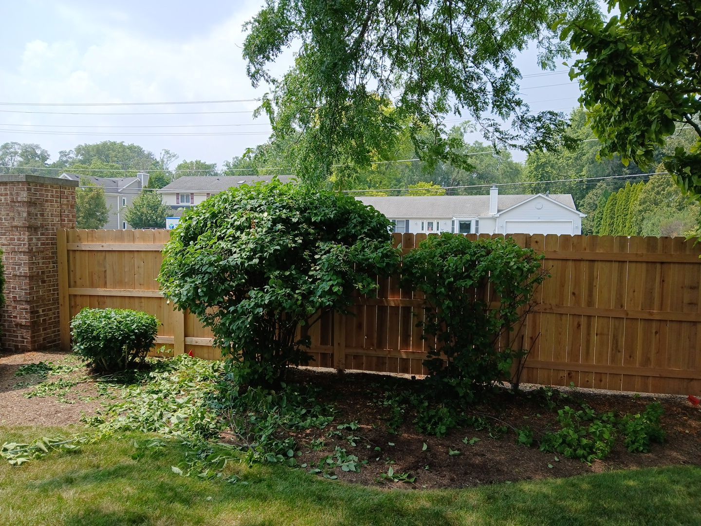 Ed E. - Wheeling, IL by A&N 