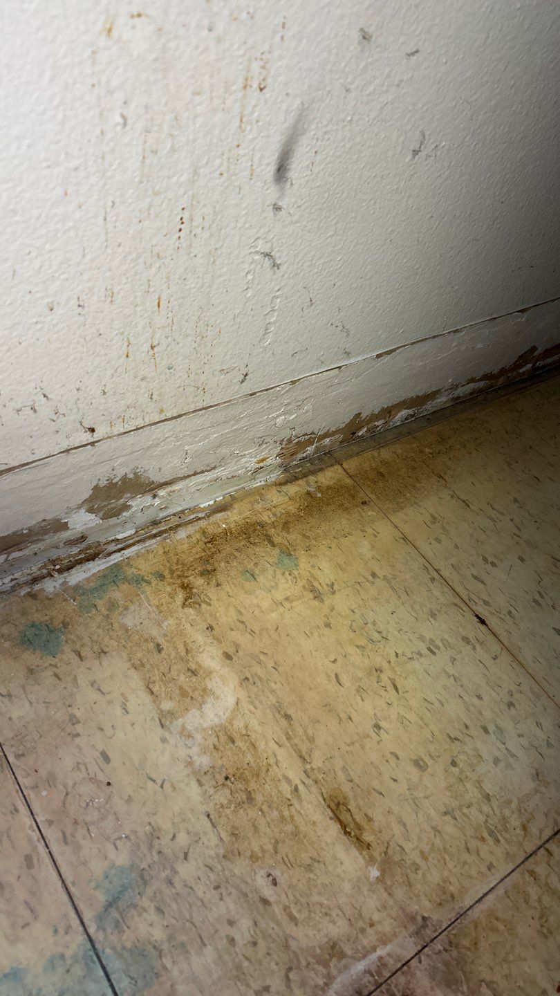 Mold Remediation by Accountable Home Services